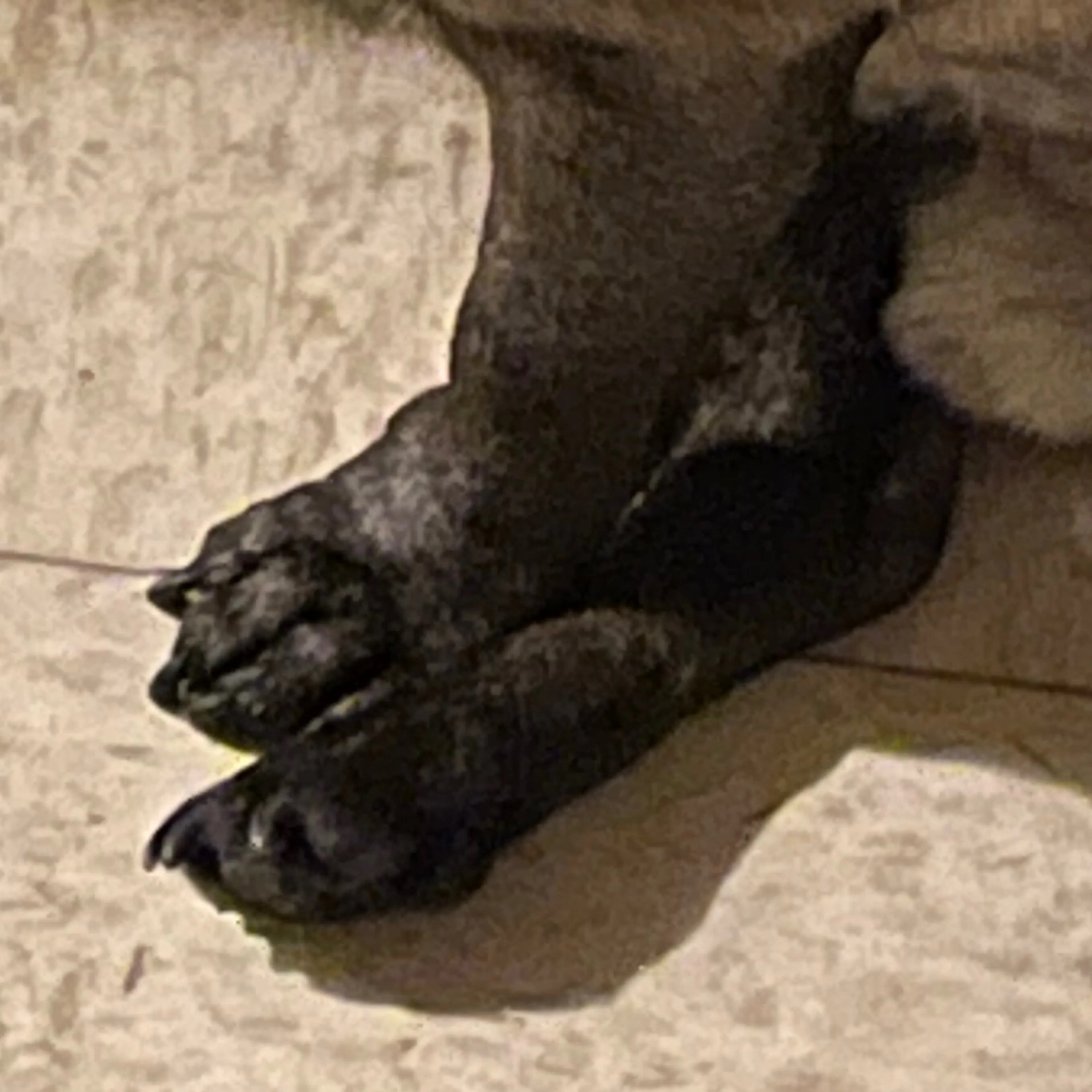 -3