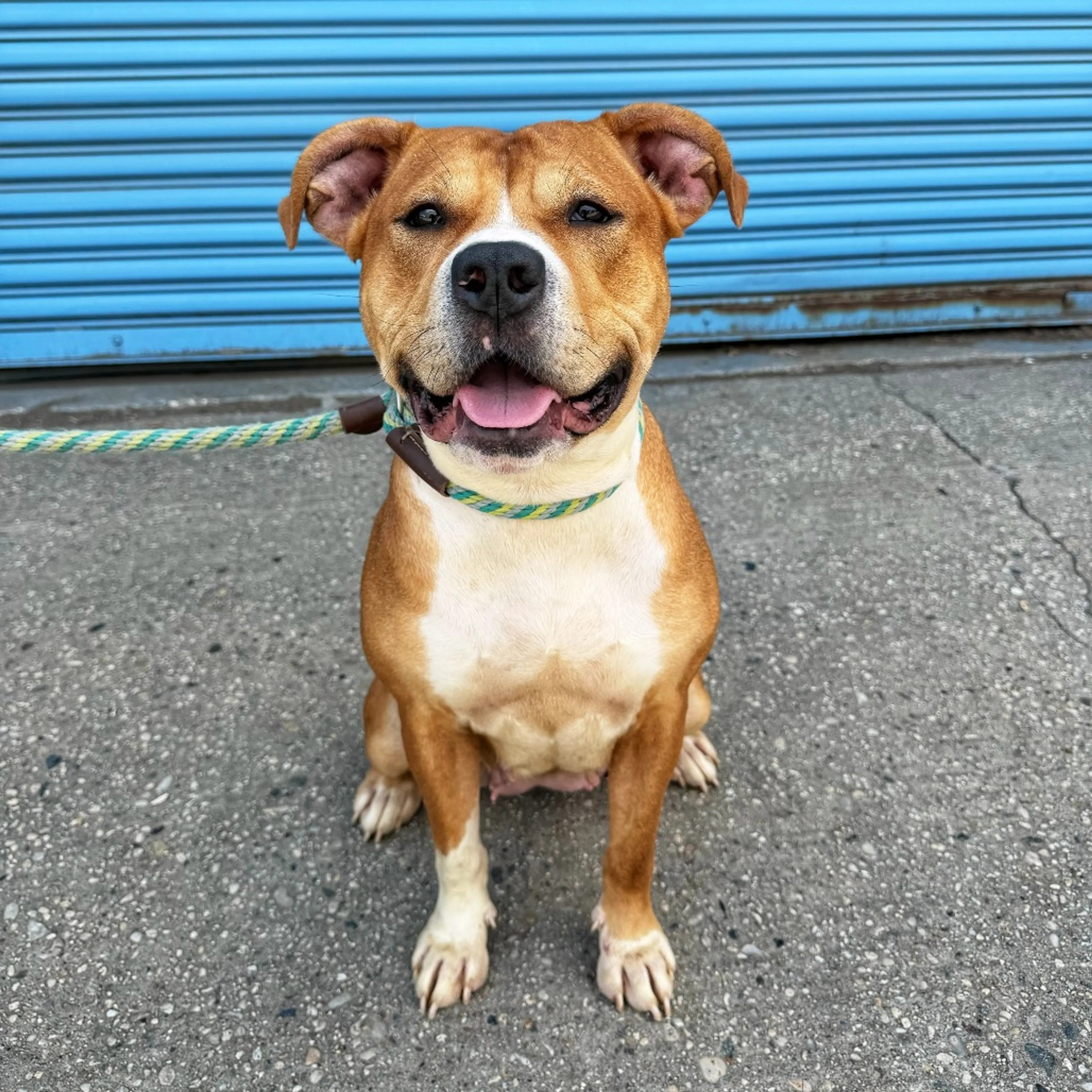 -1