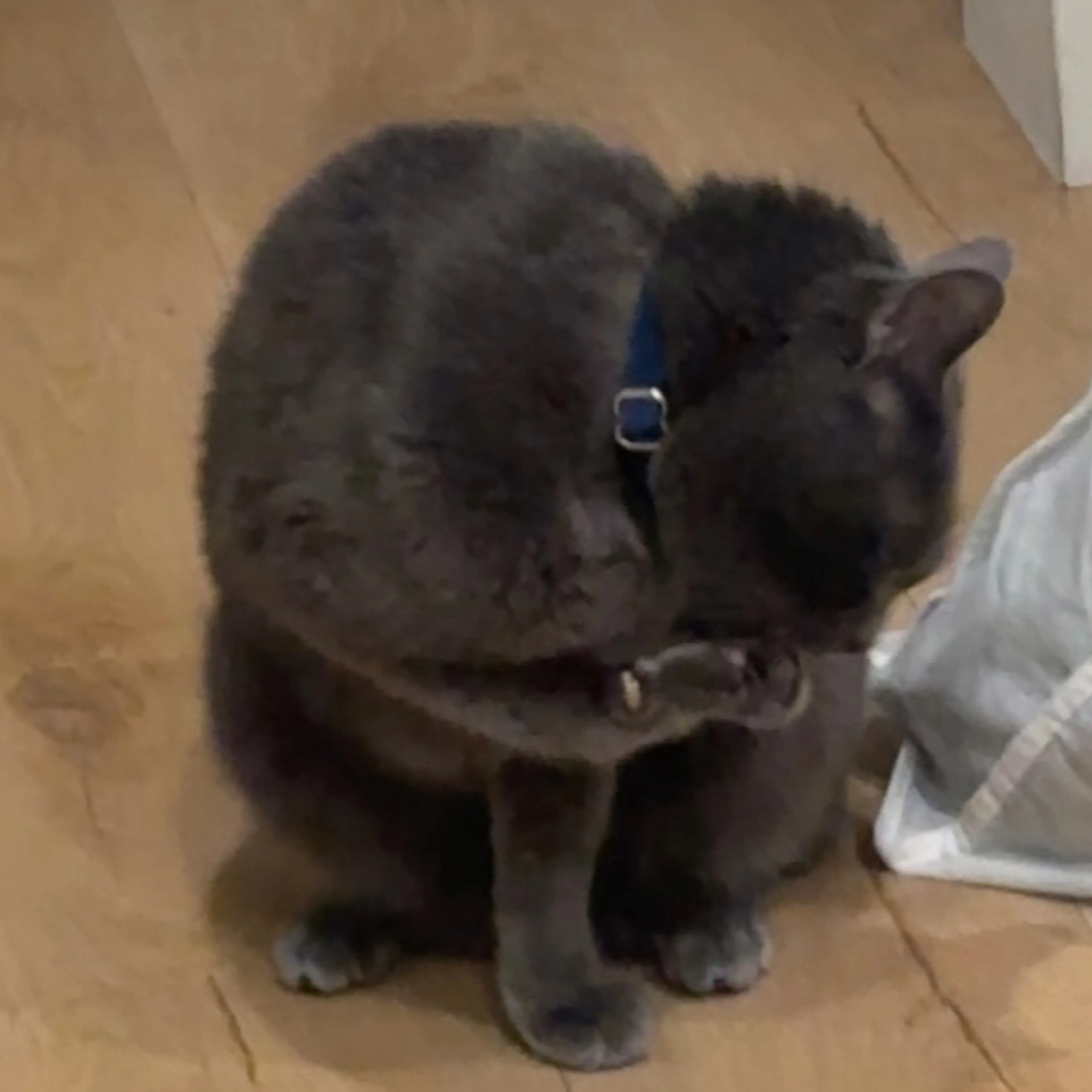 -1