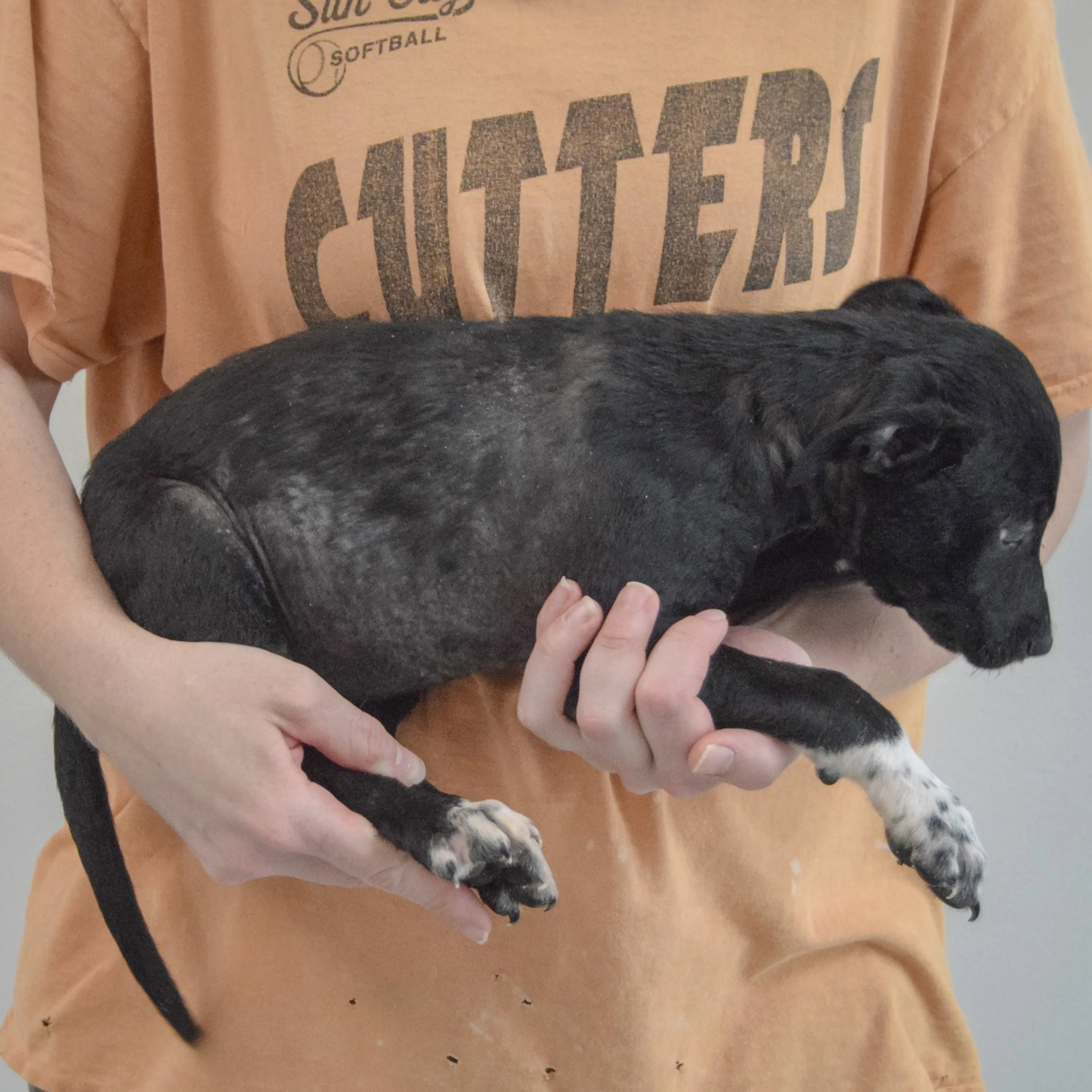 -3