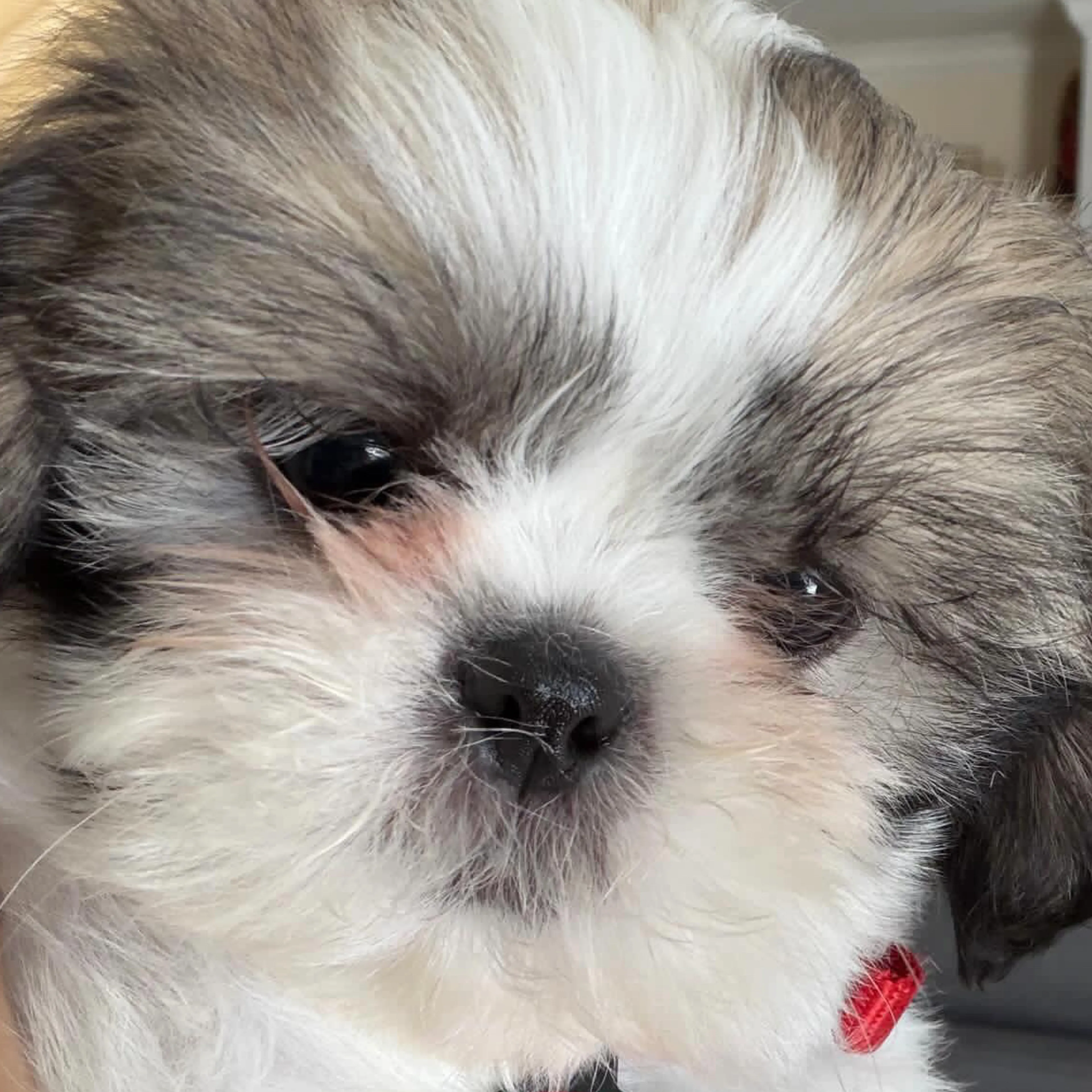 -1