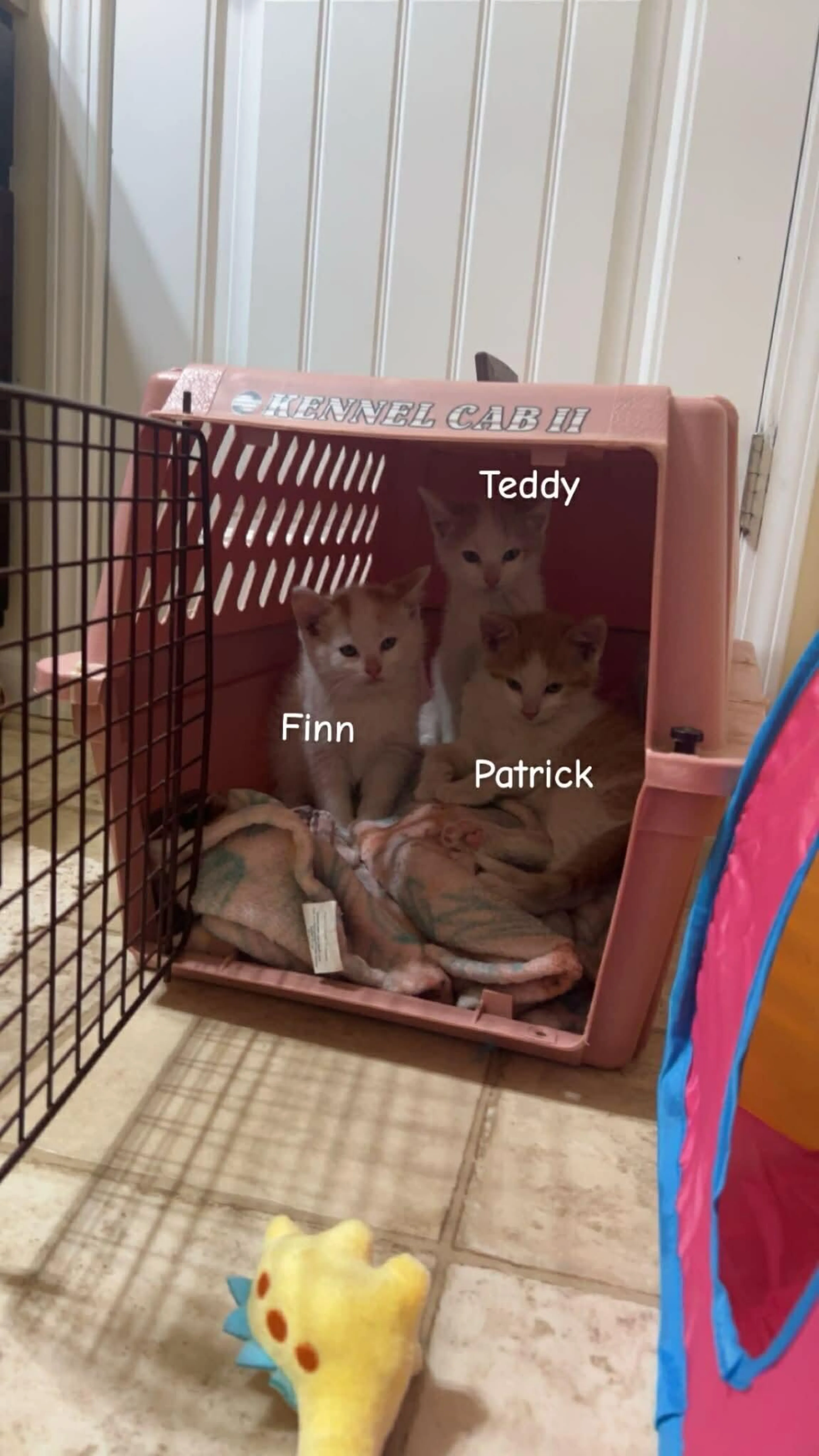 -3