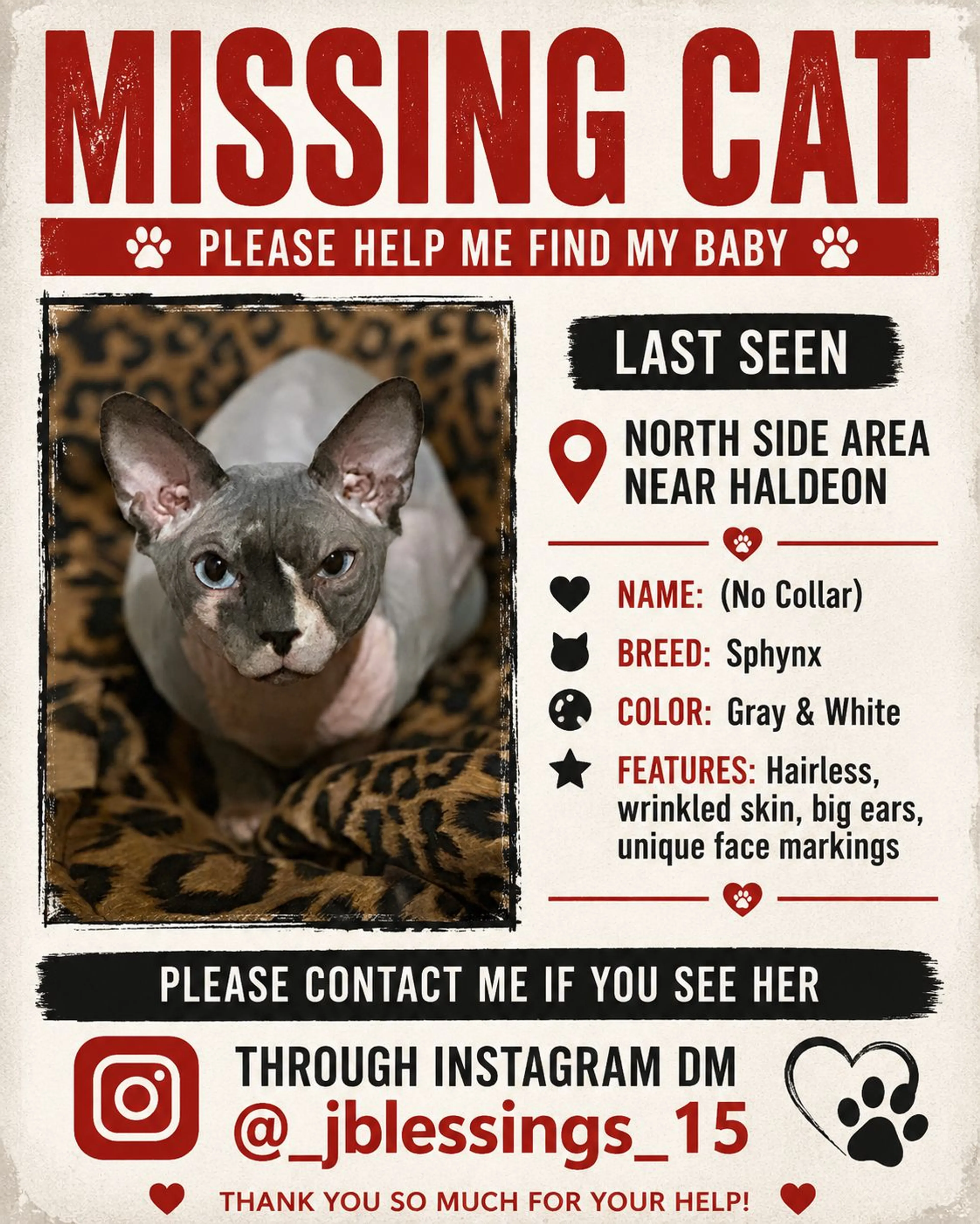 cdn image