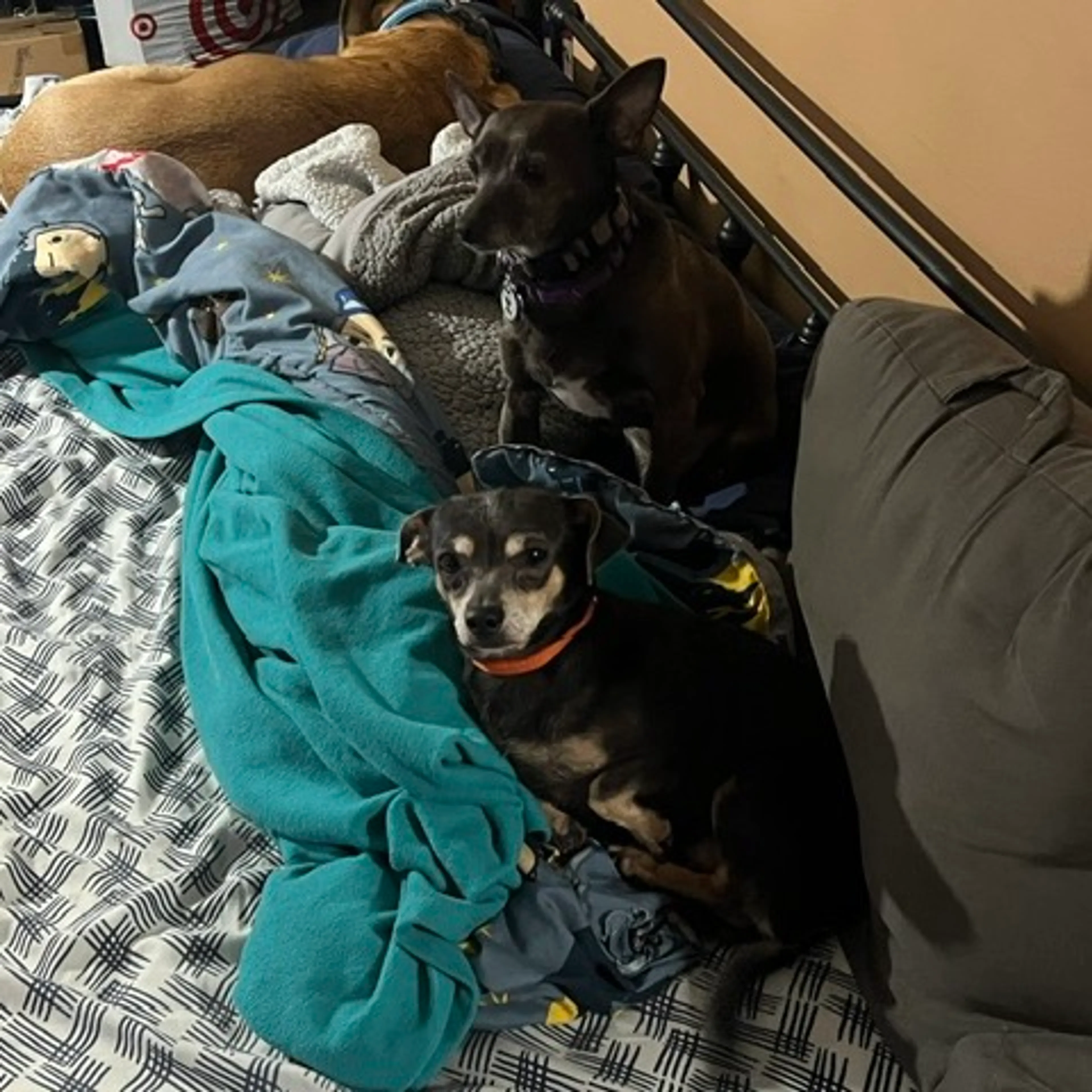 -39