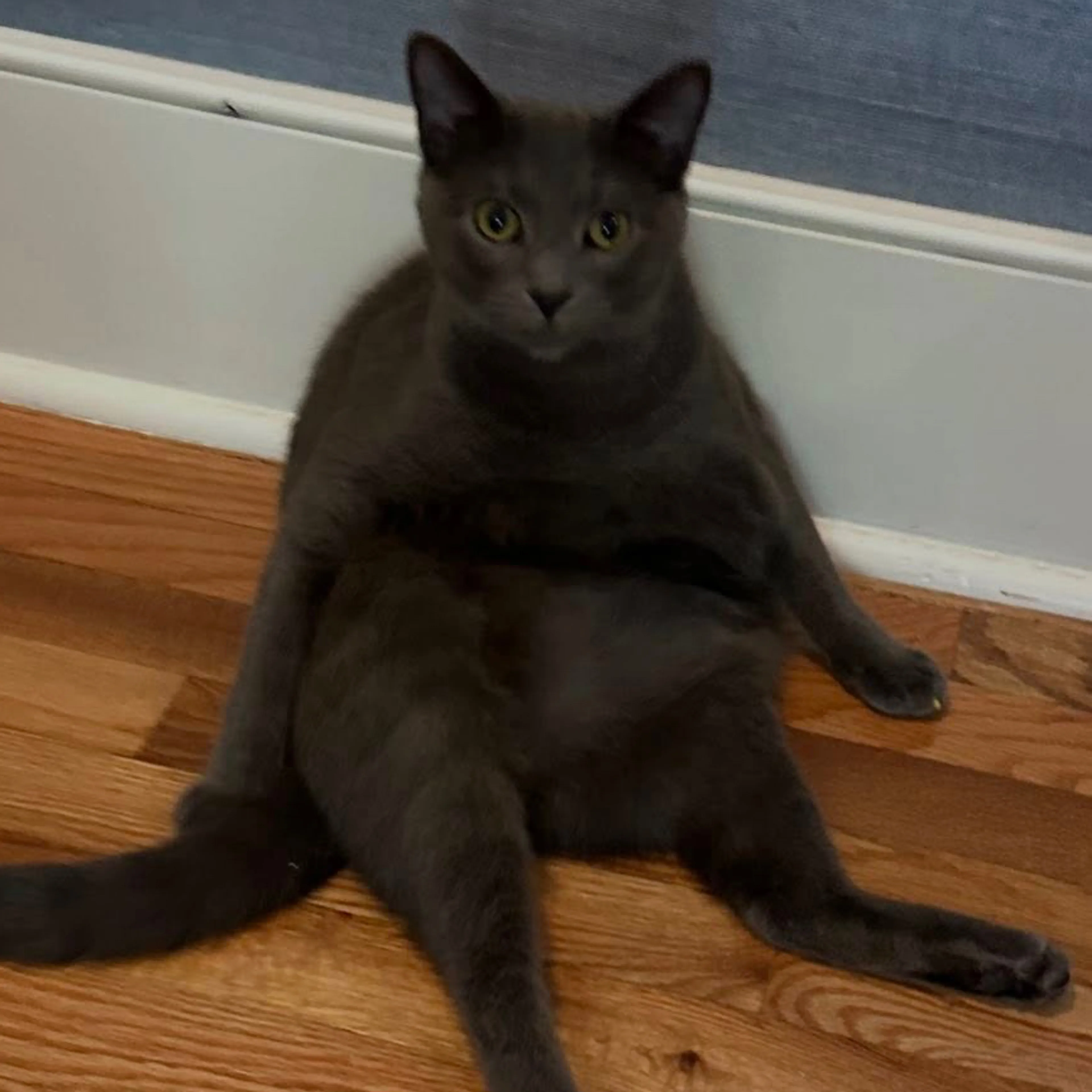 -1