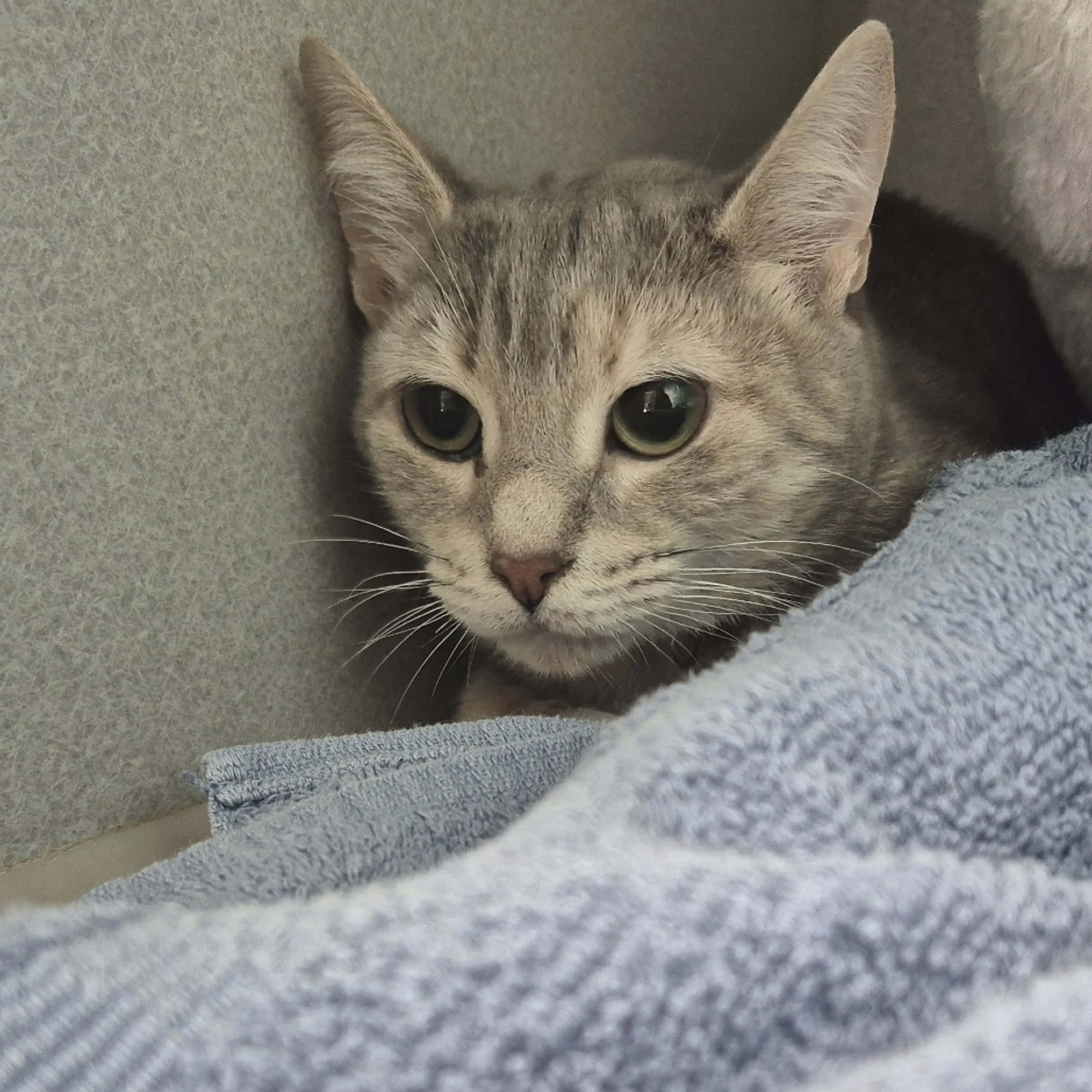 -1
