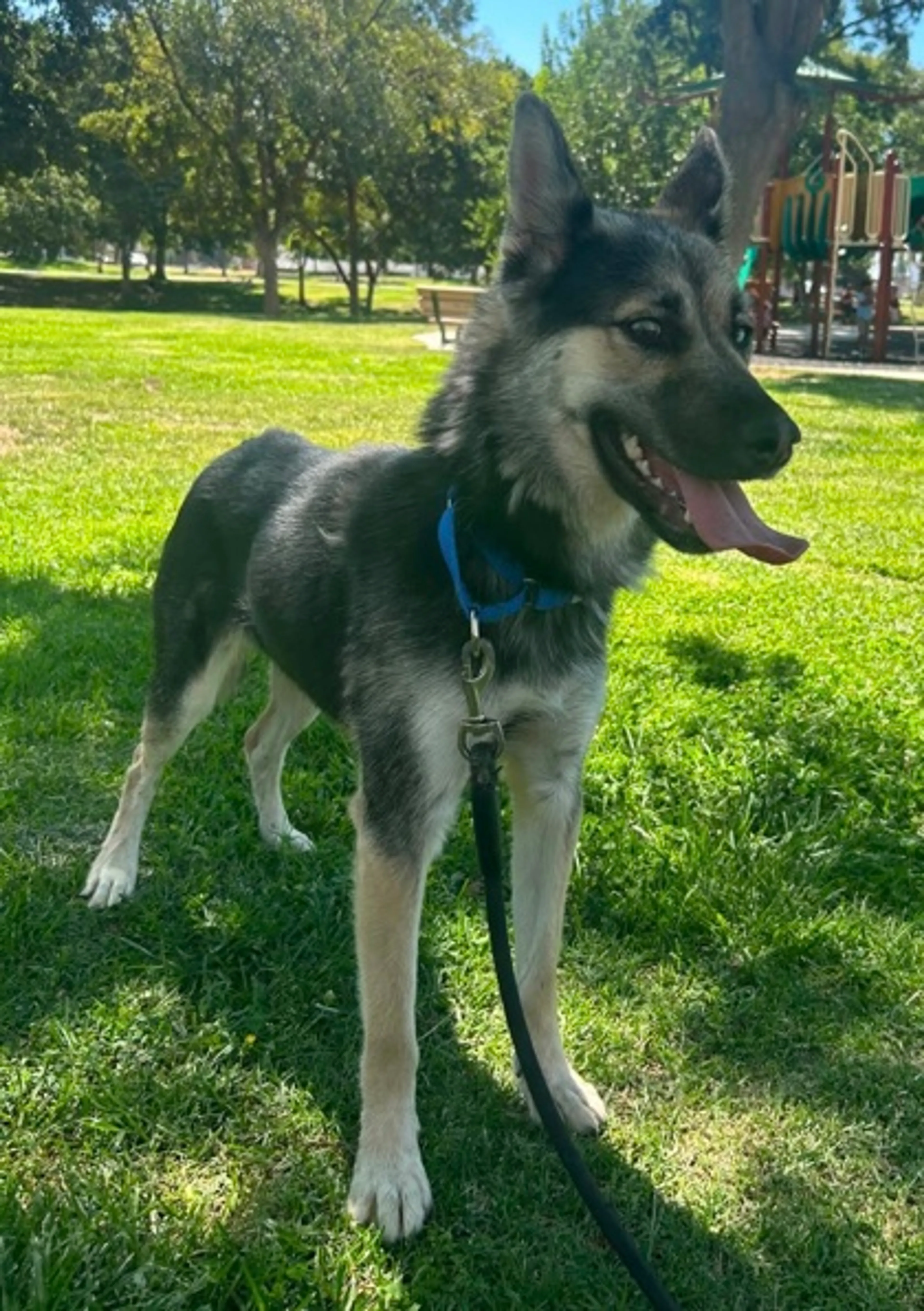 -1