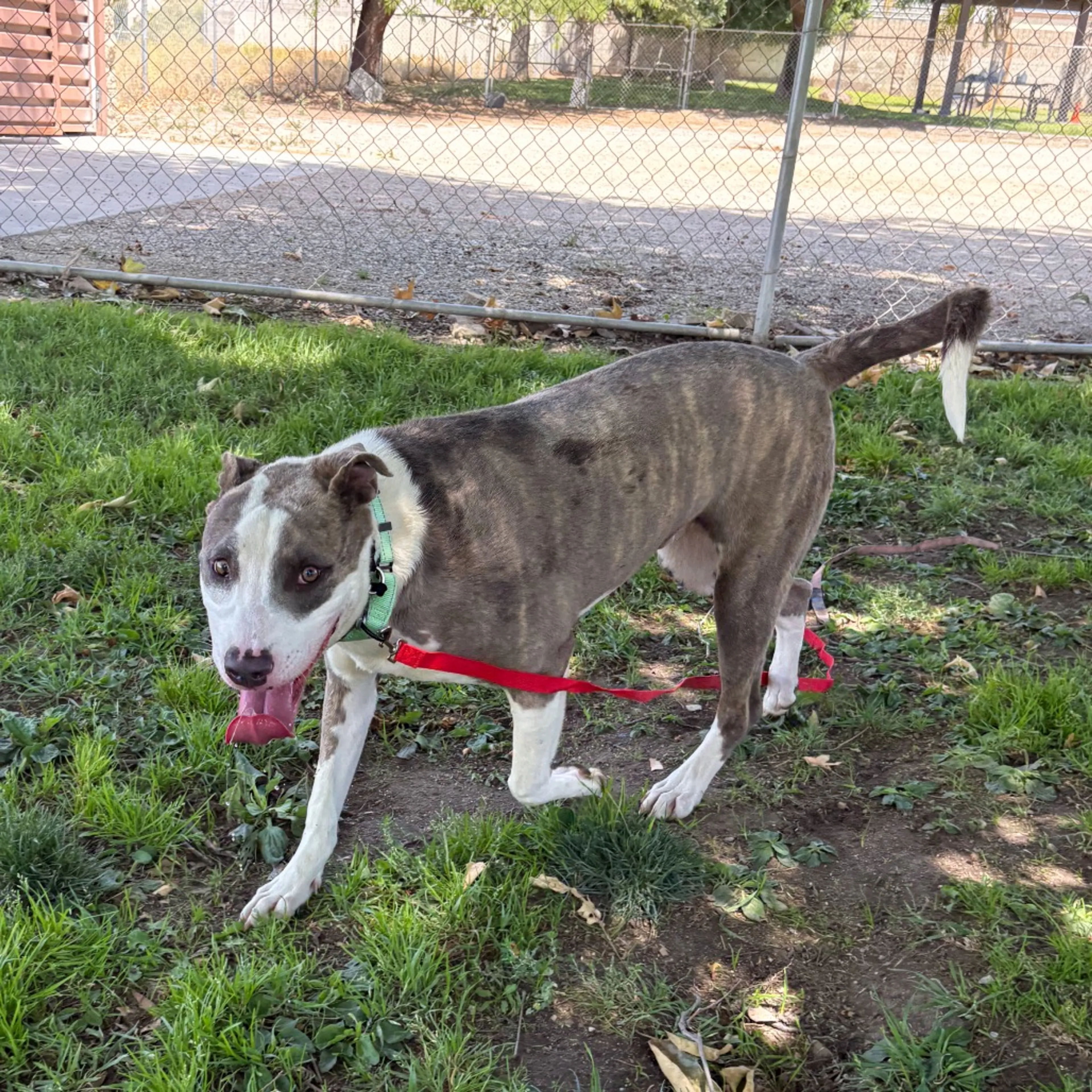 -3