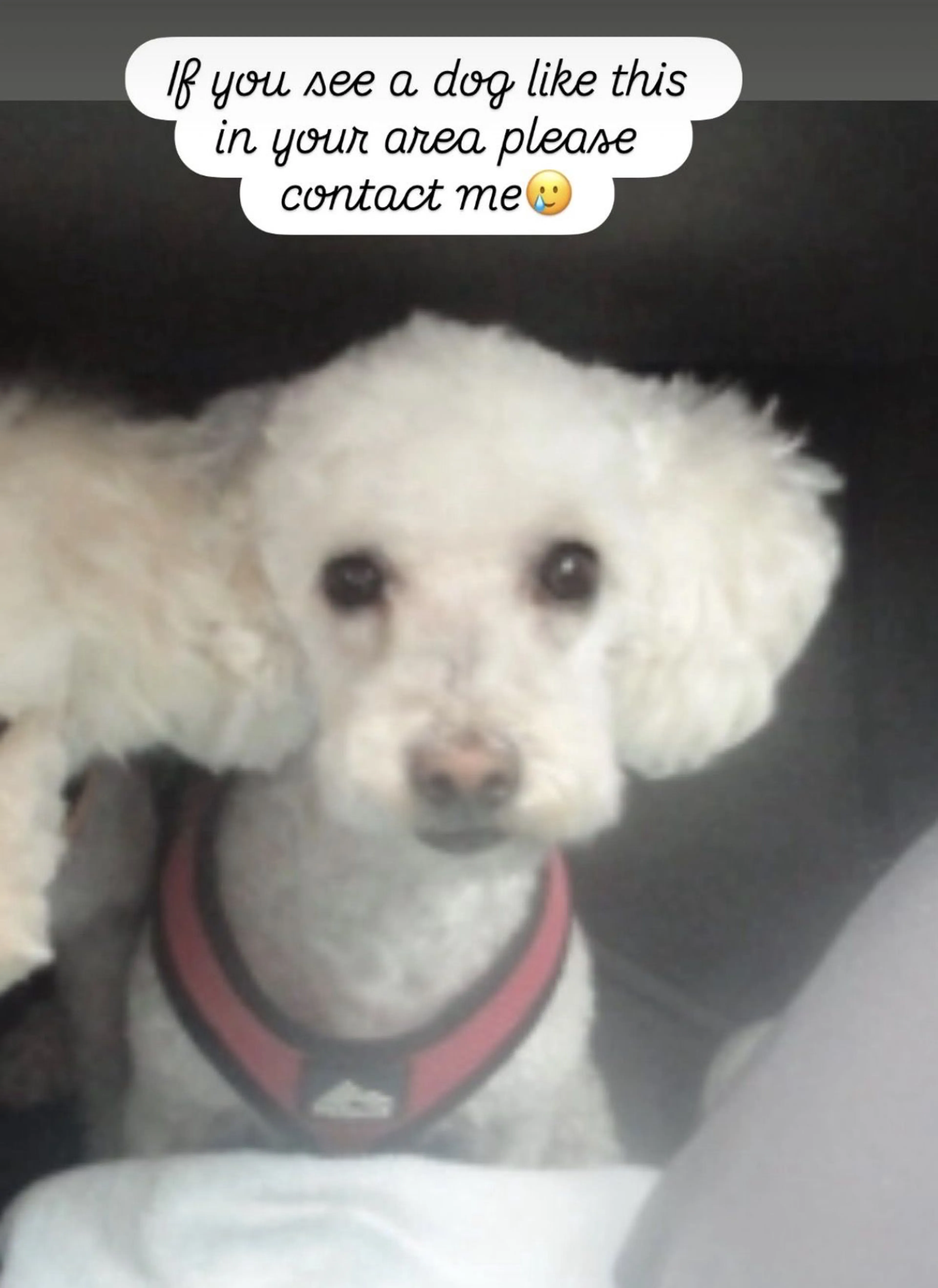 cdn image