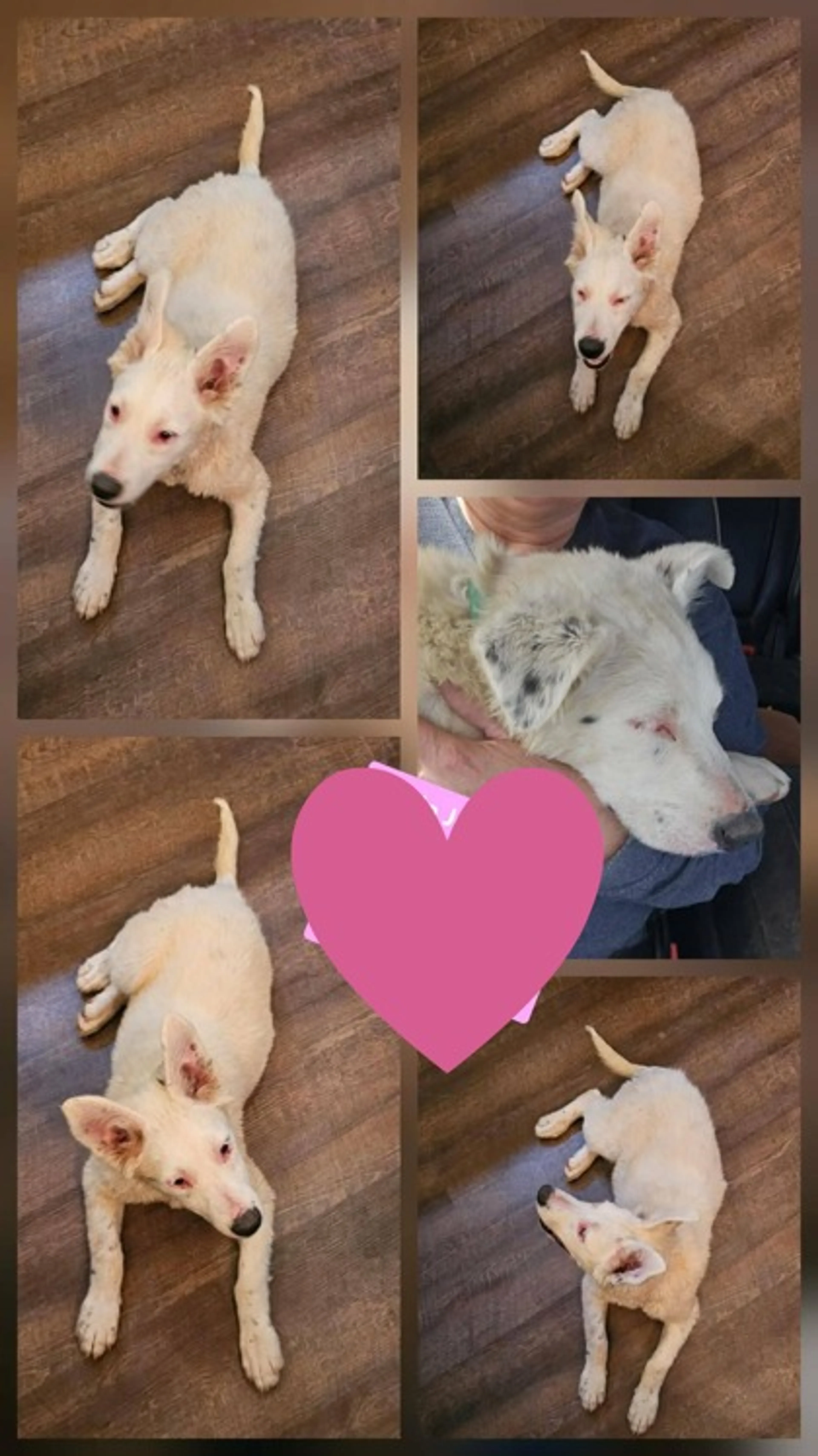 -1