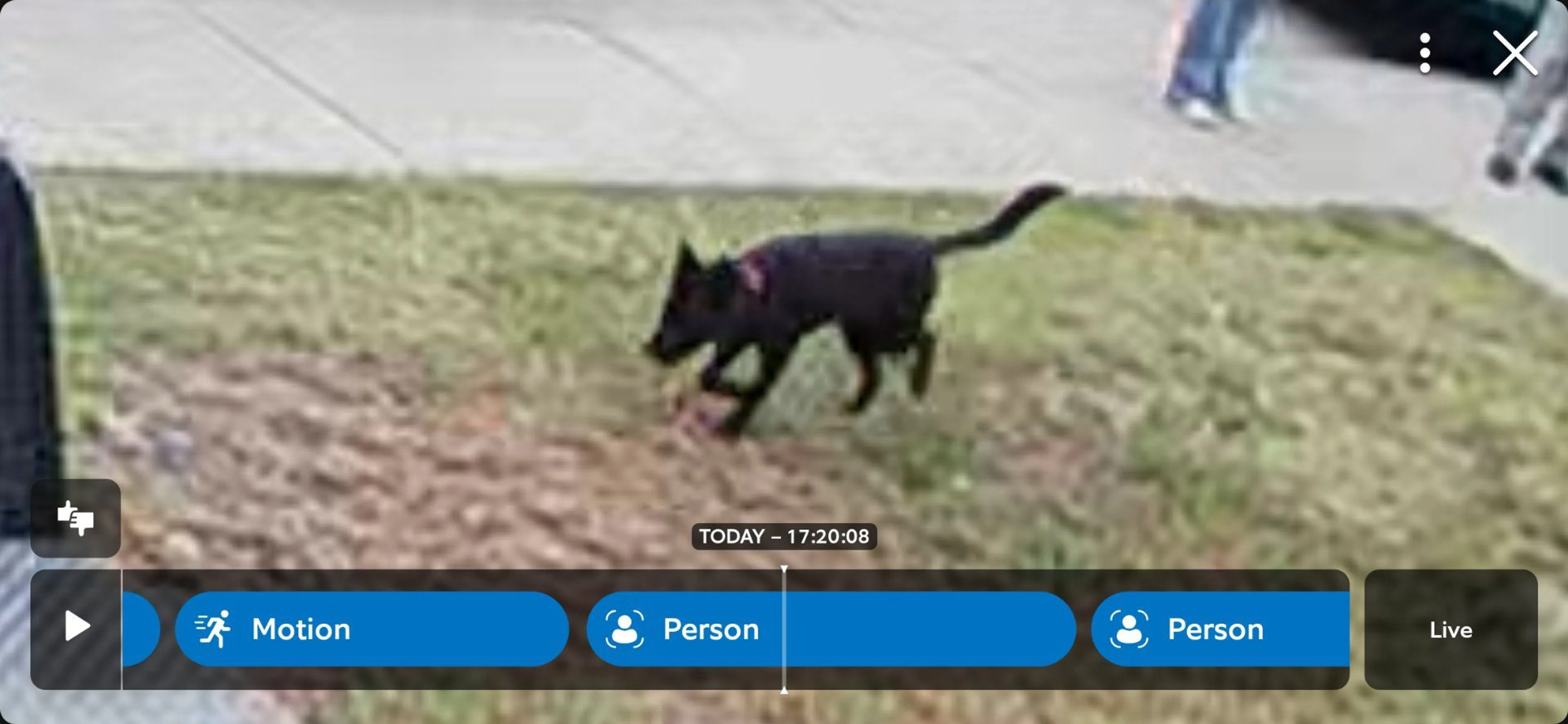 cdn image