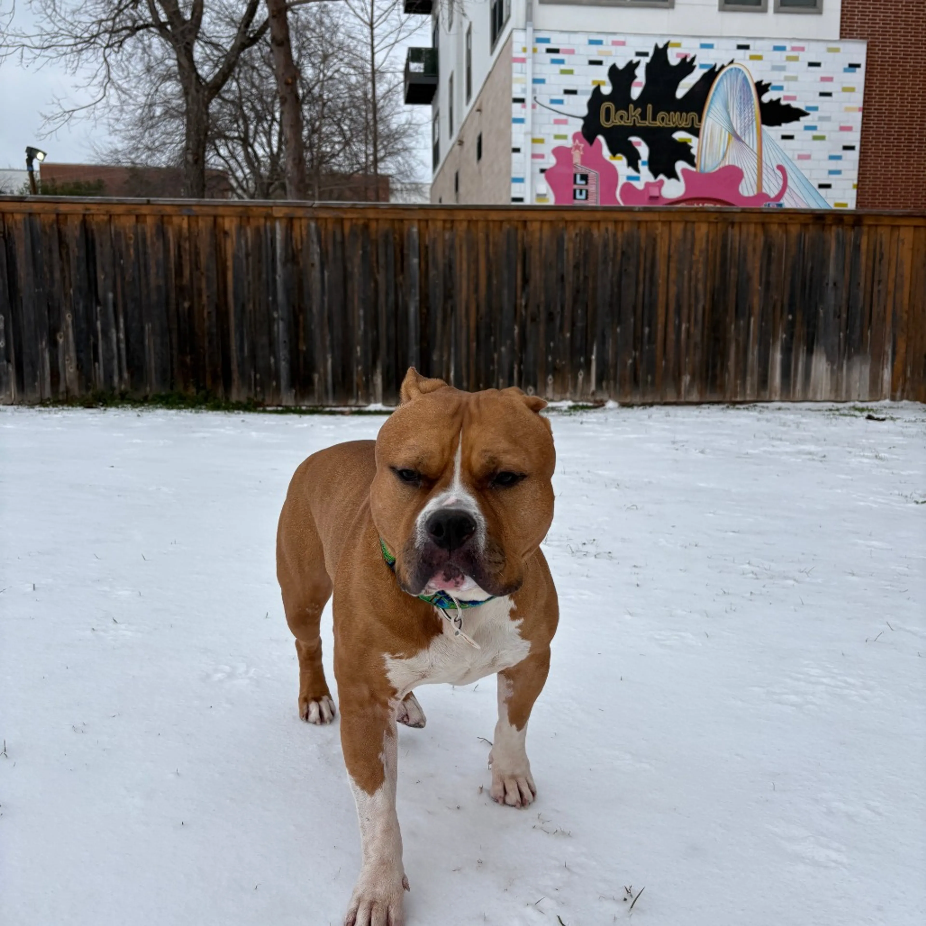 -19