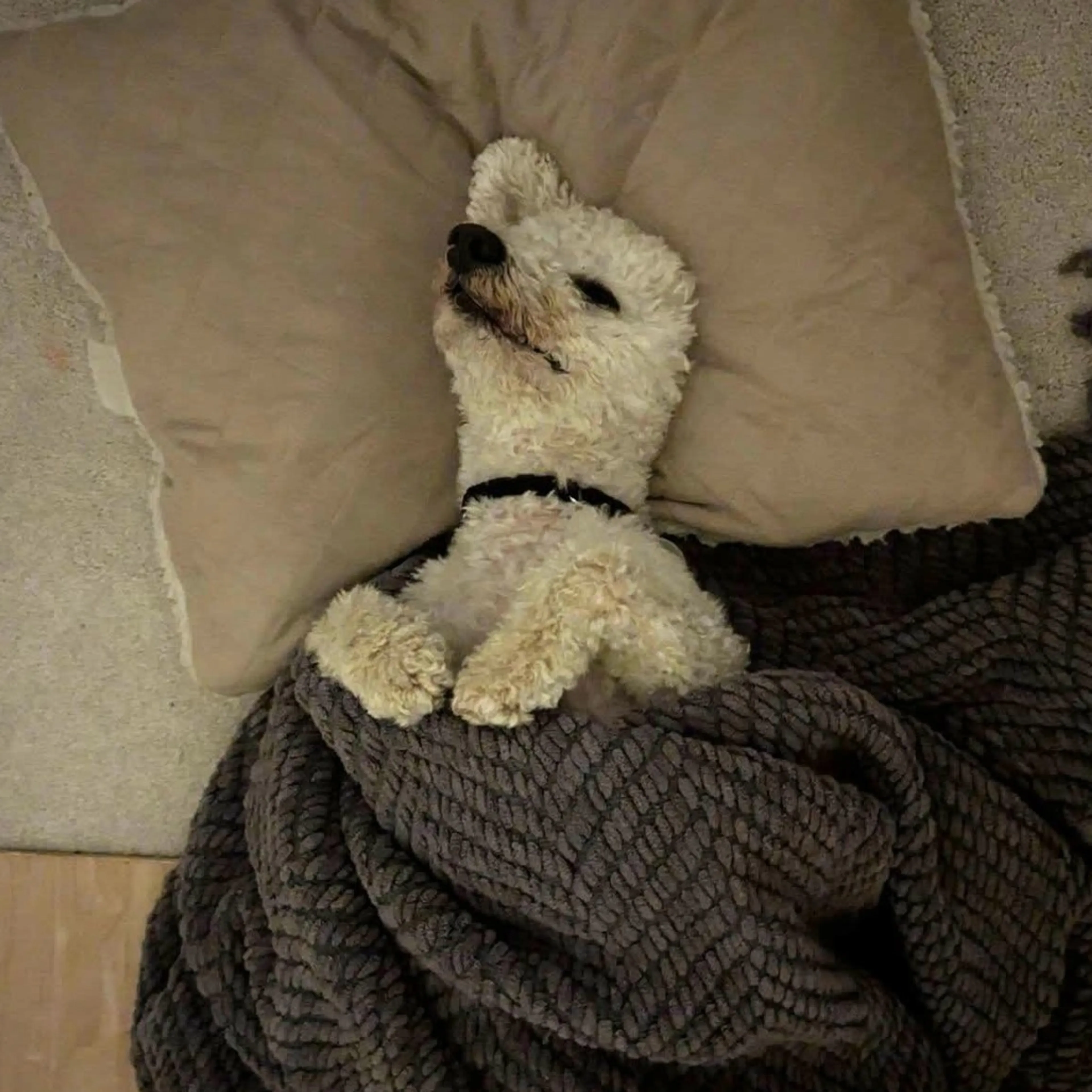 -10