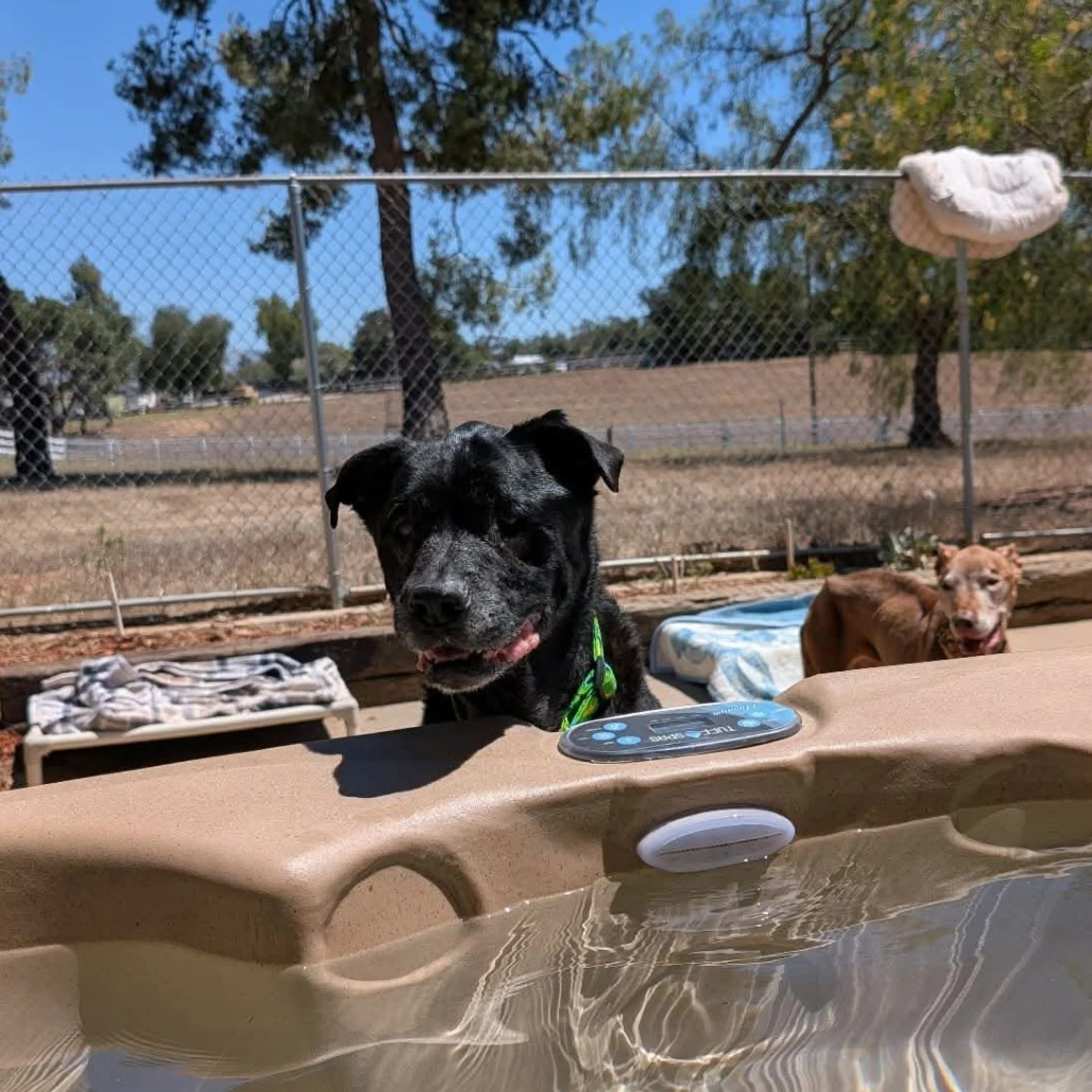 -12