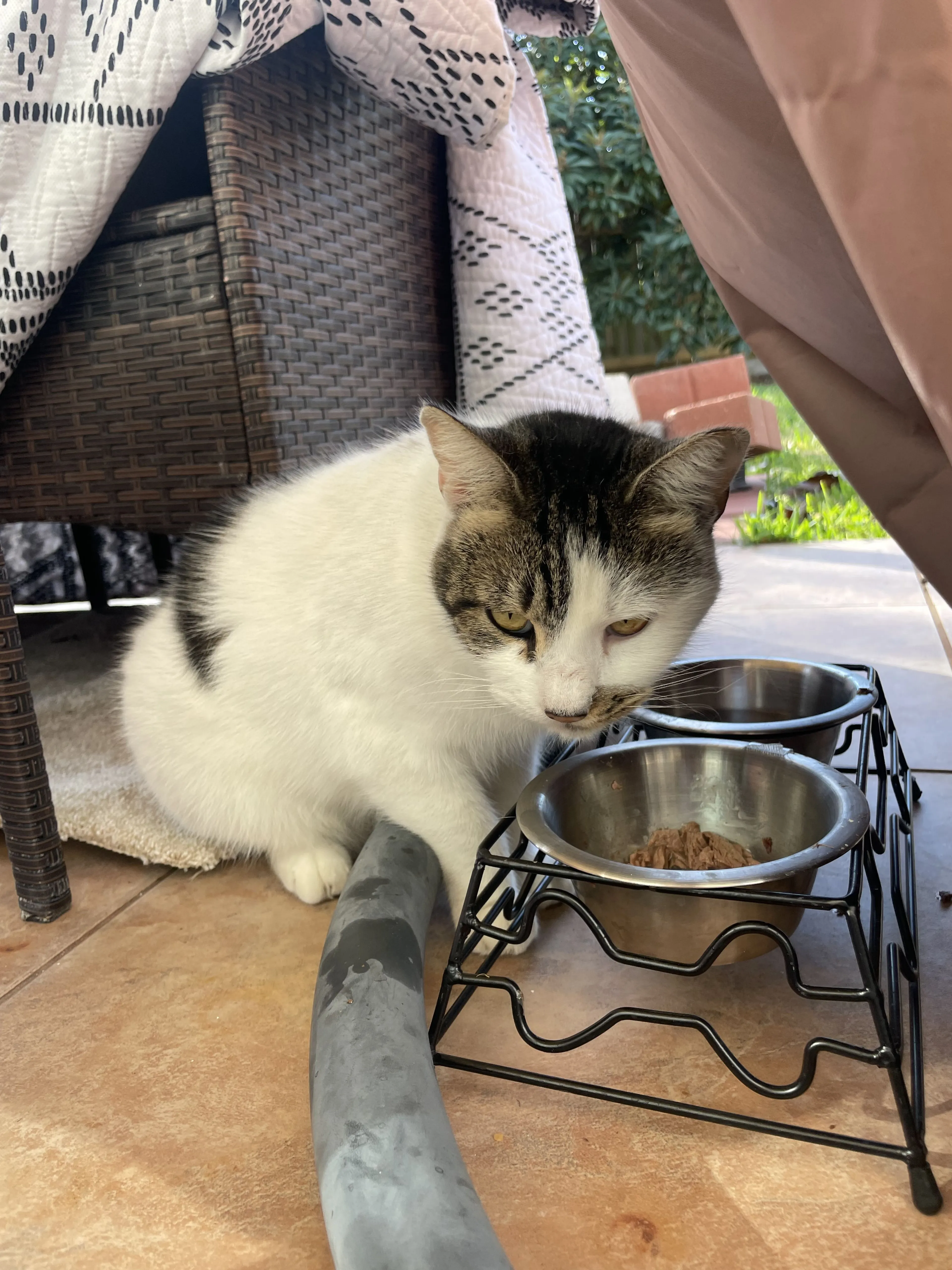 -4
