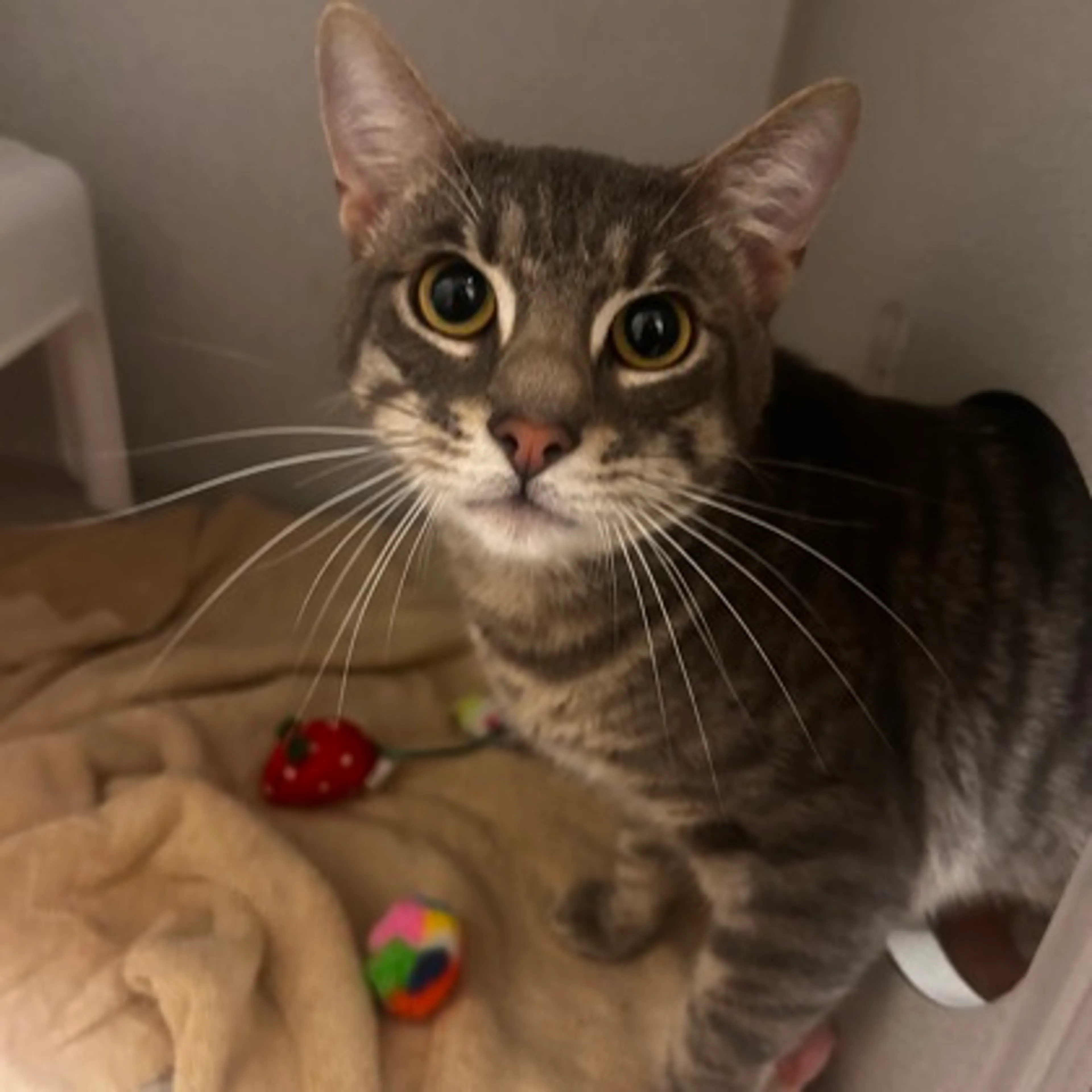 -0