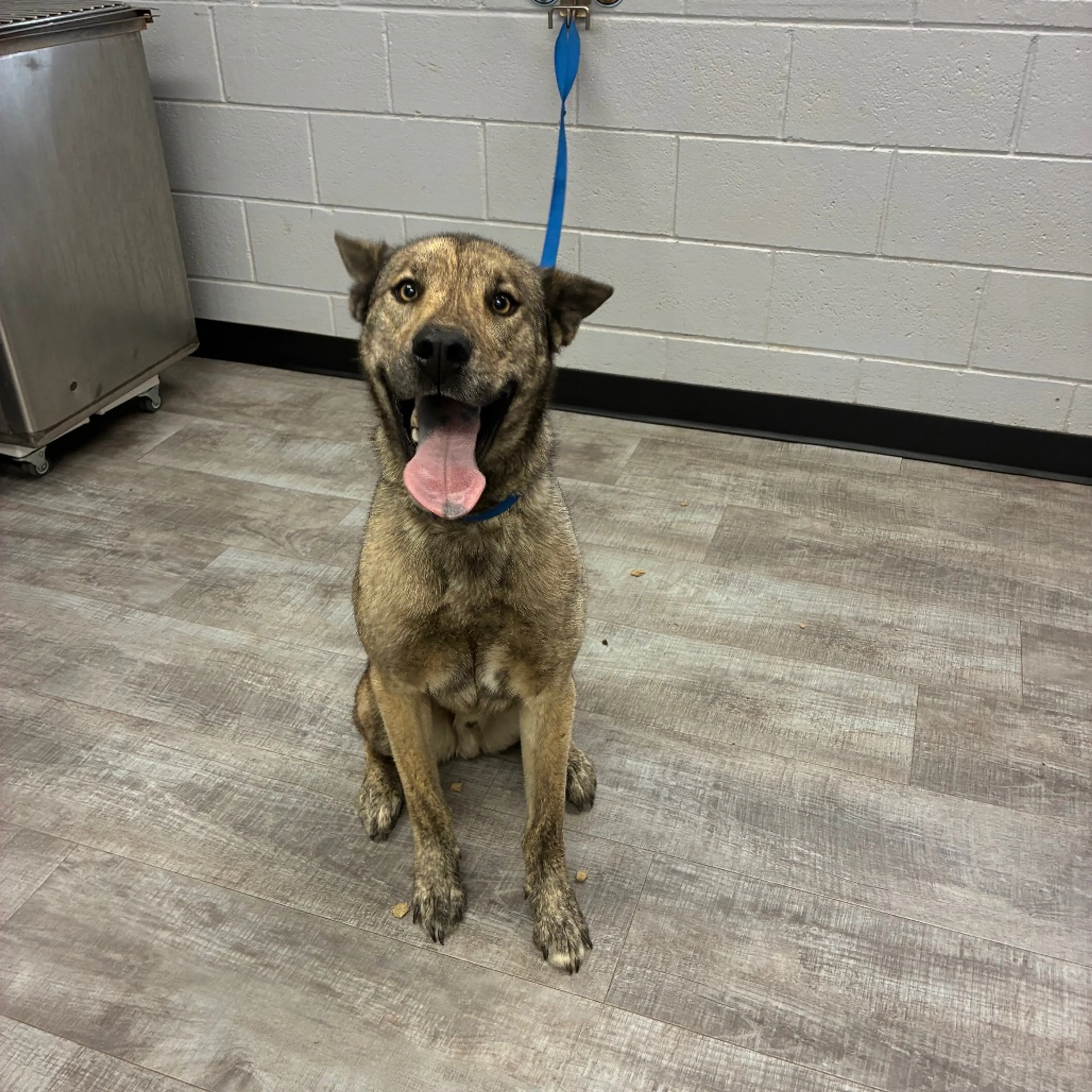 -3