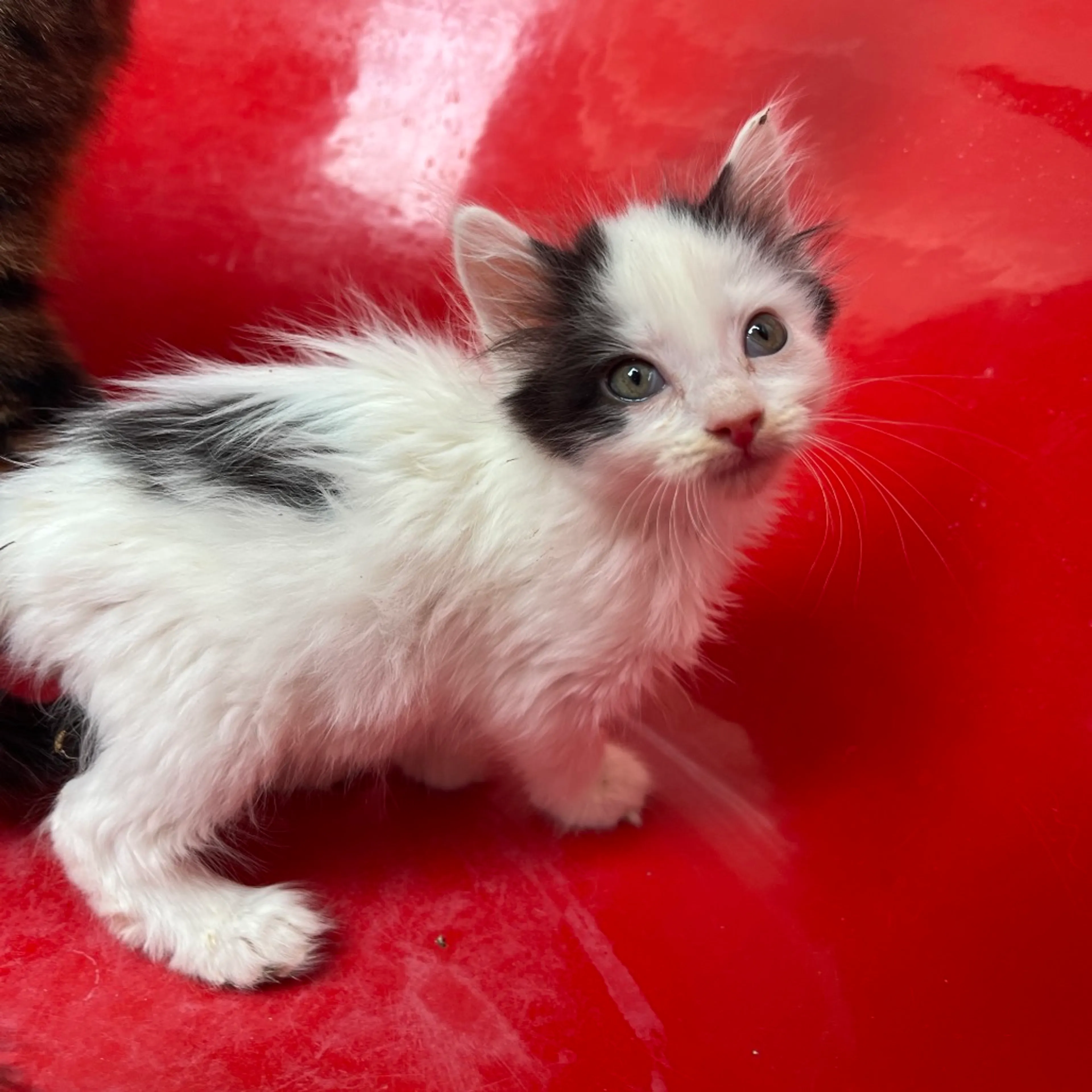 -0