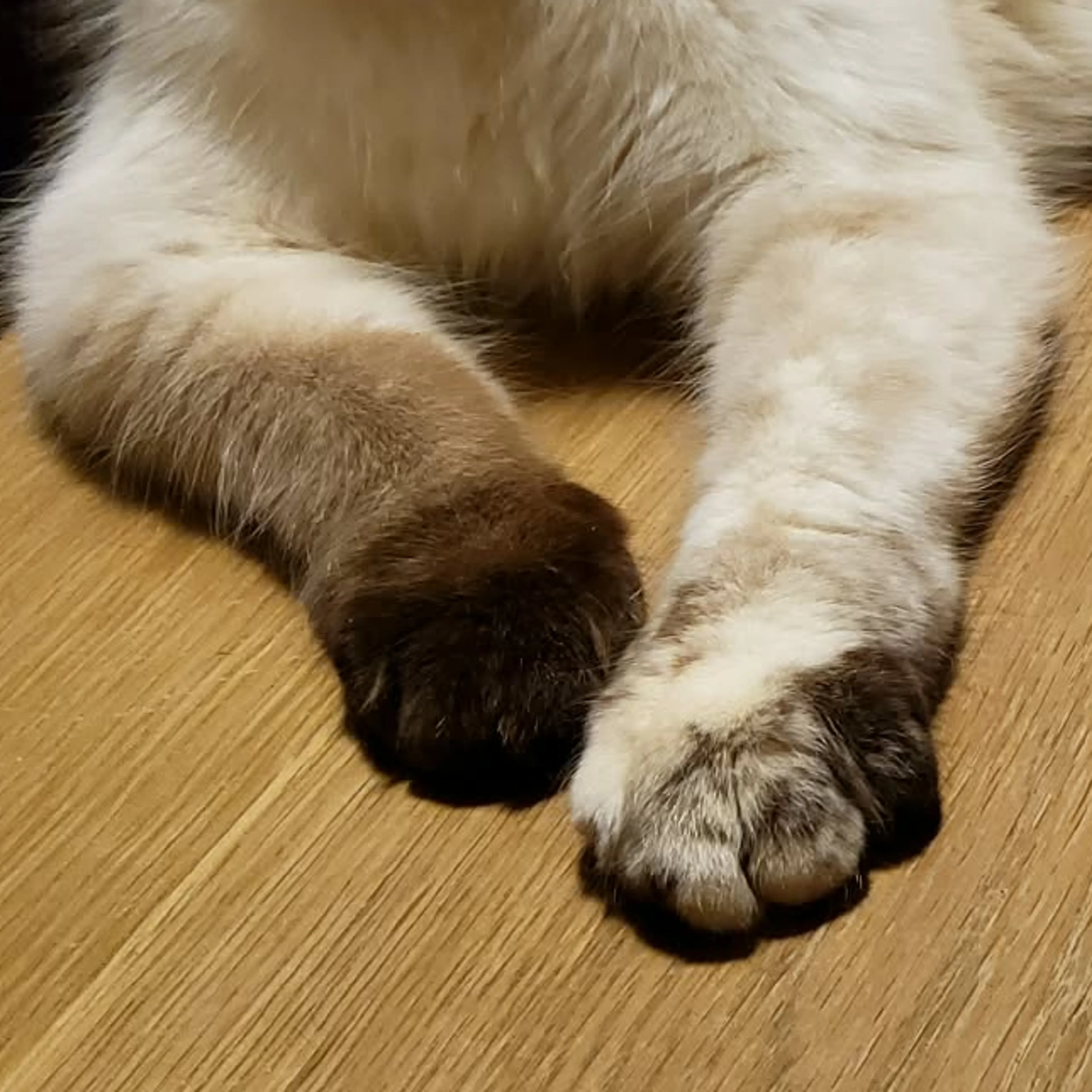 -3