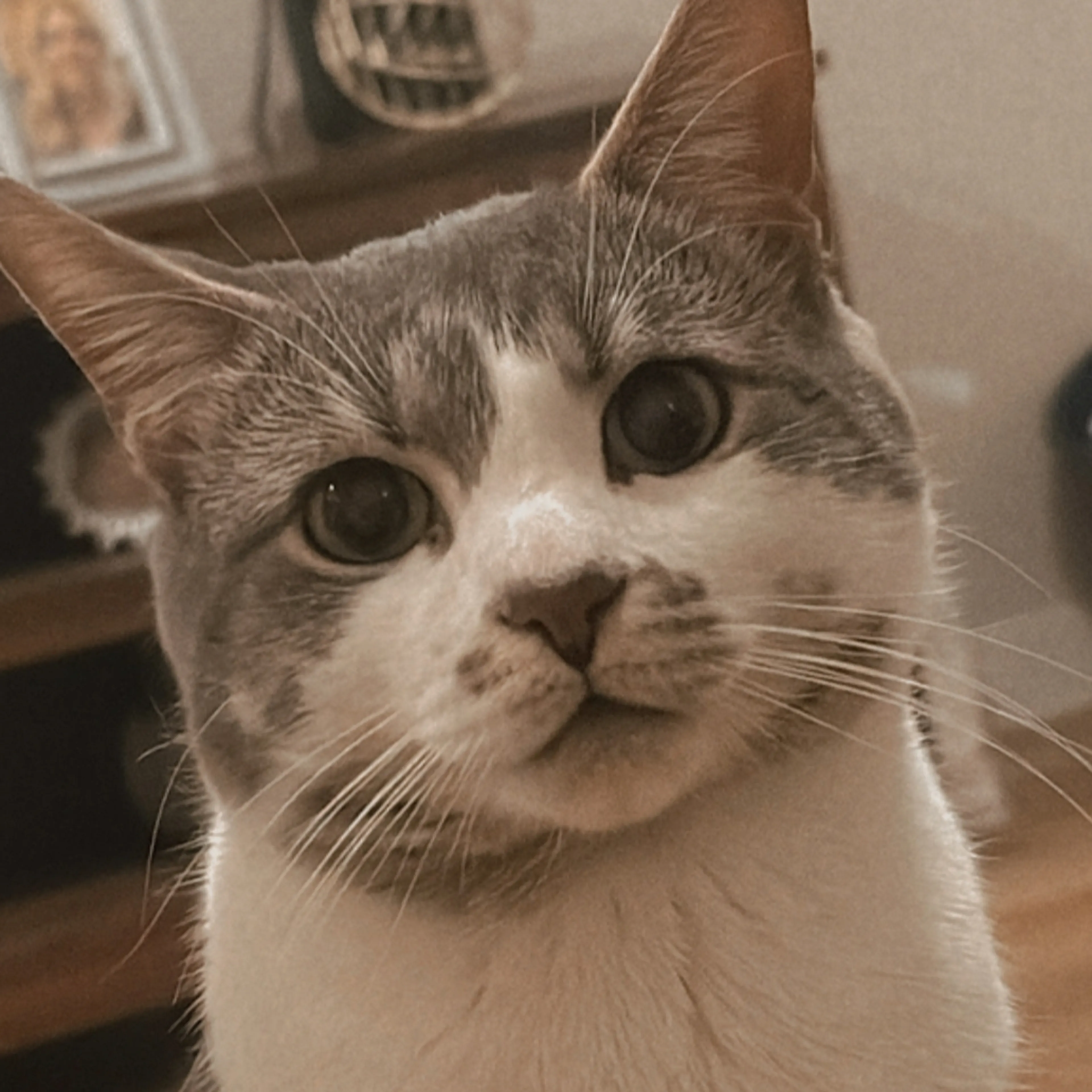 -3