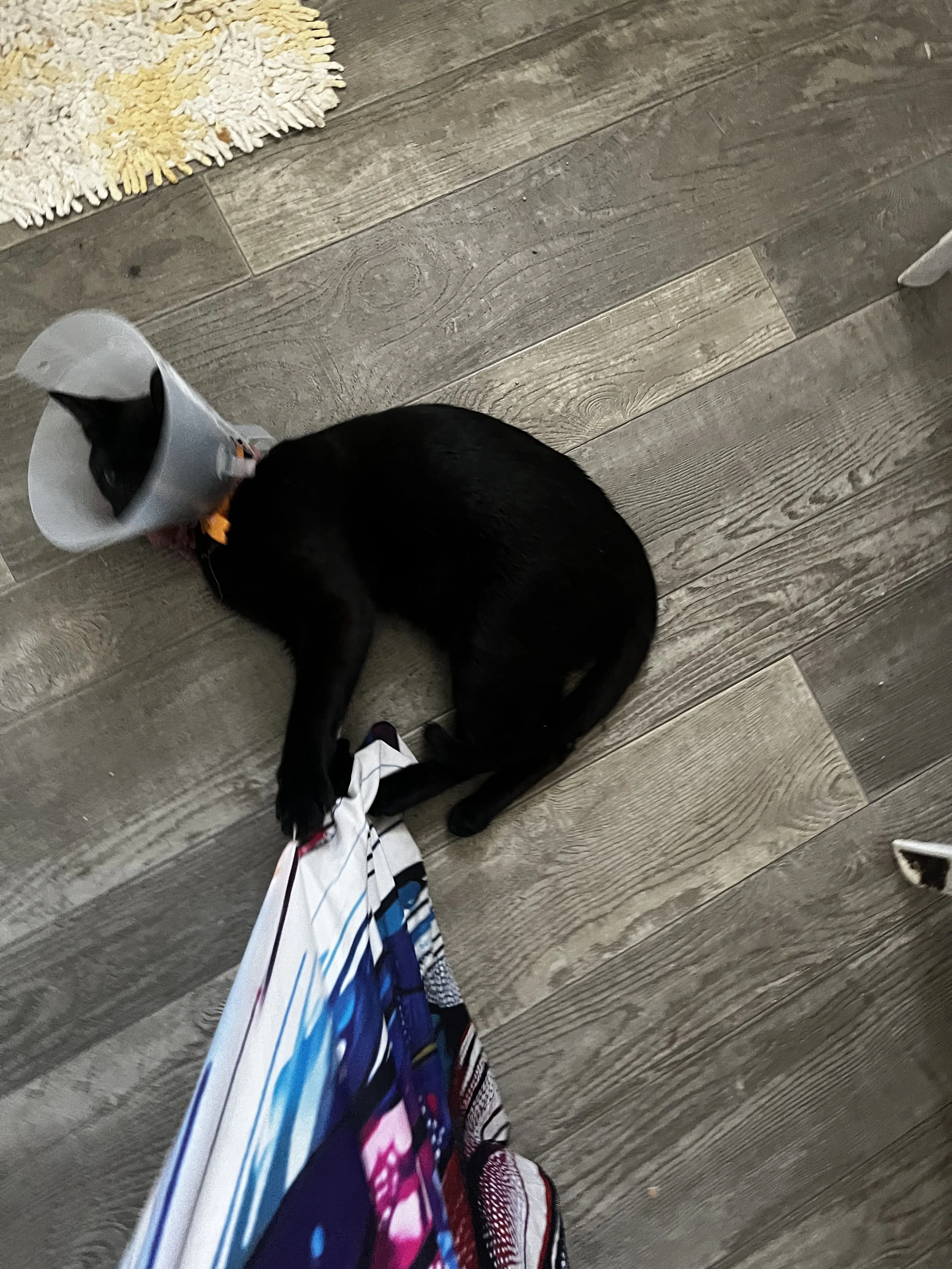 -1