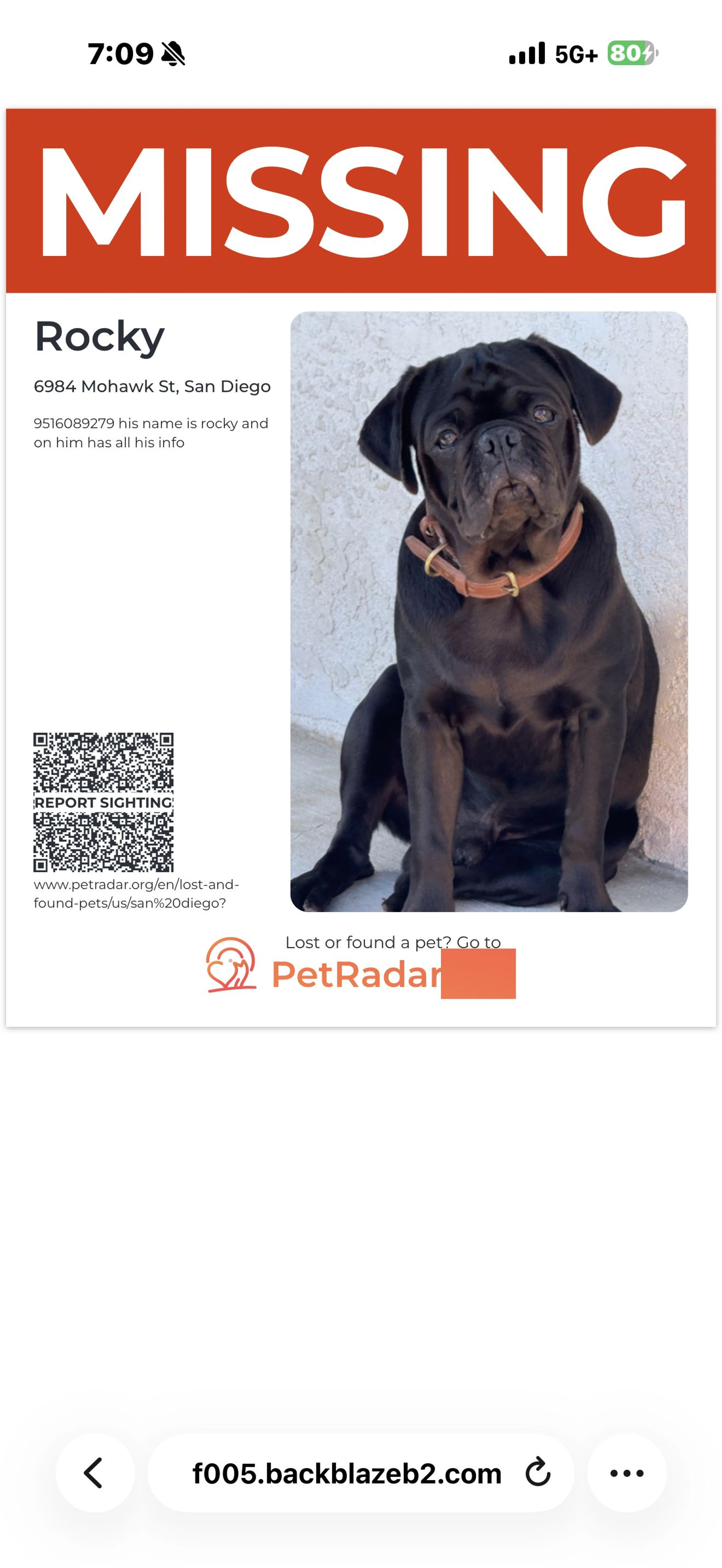 cdn image
