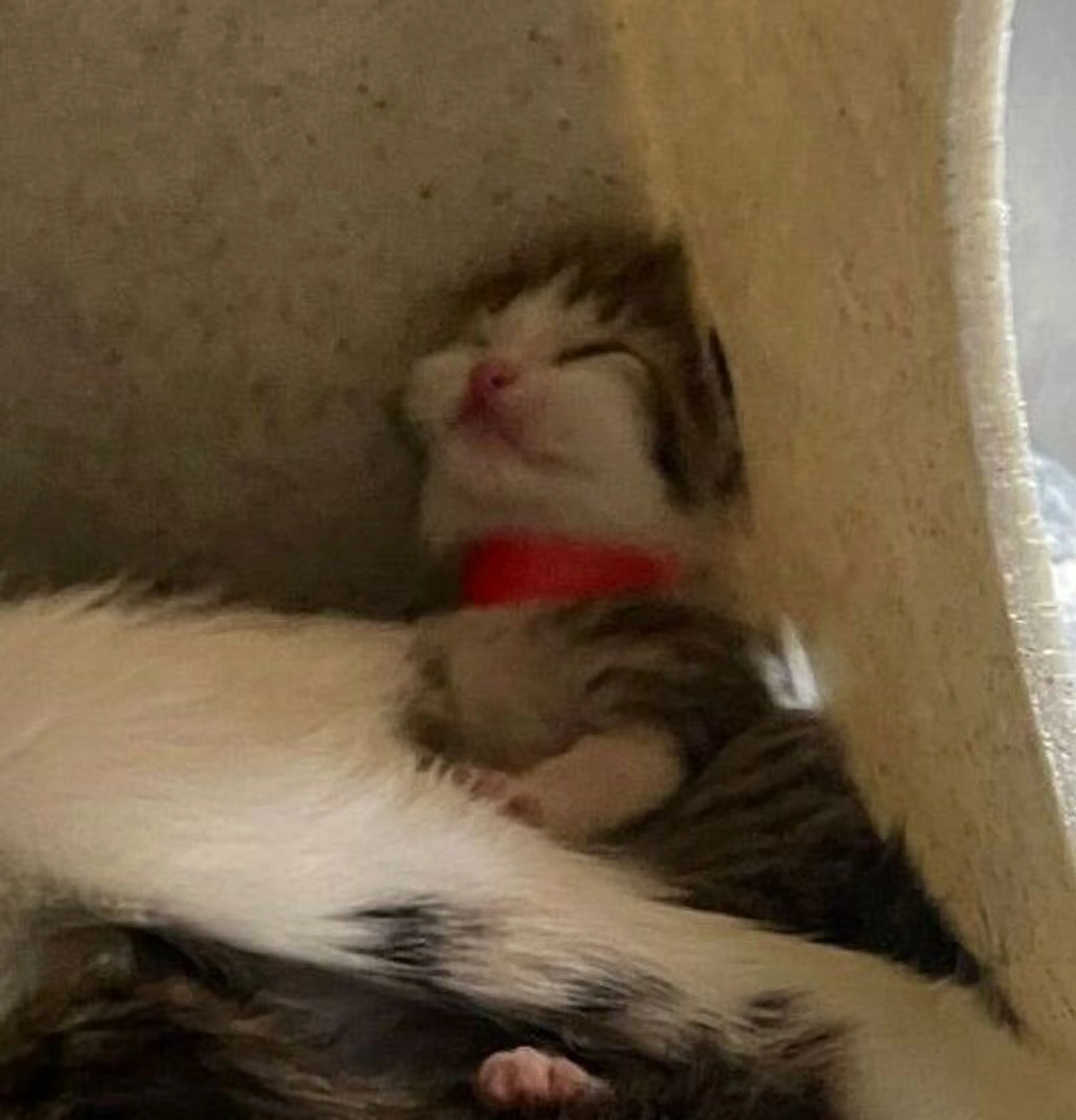 -0