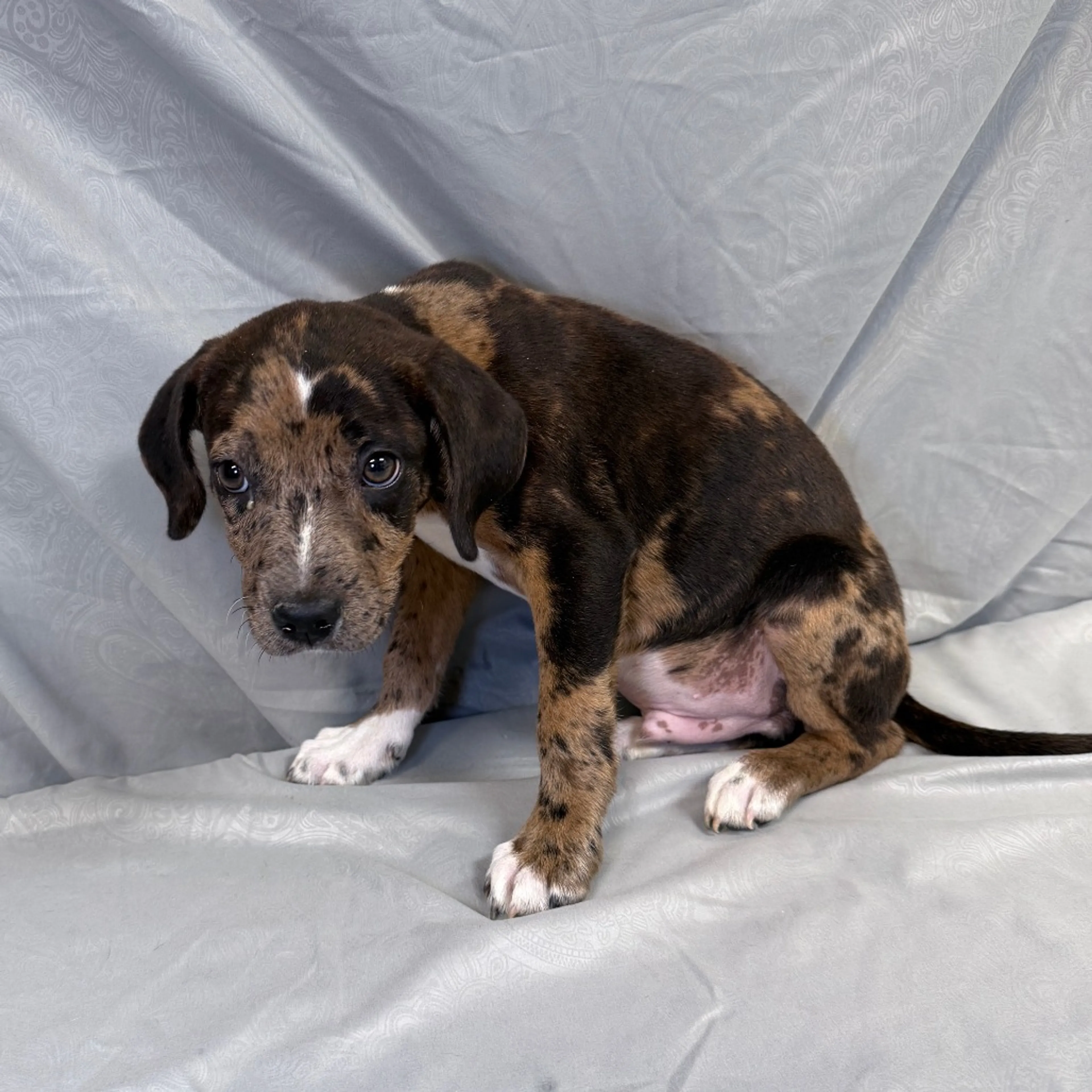 -3