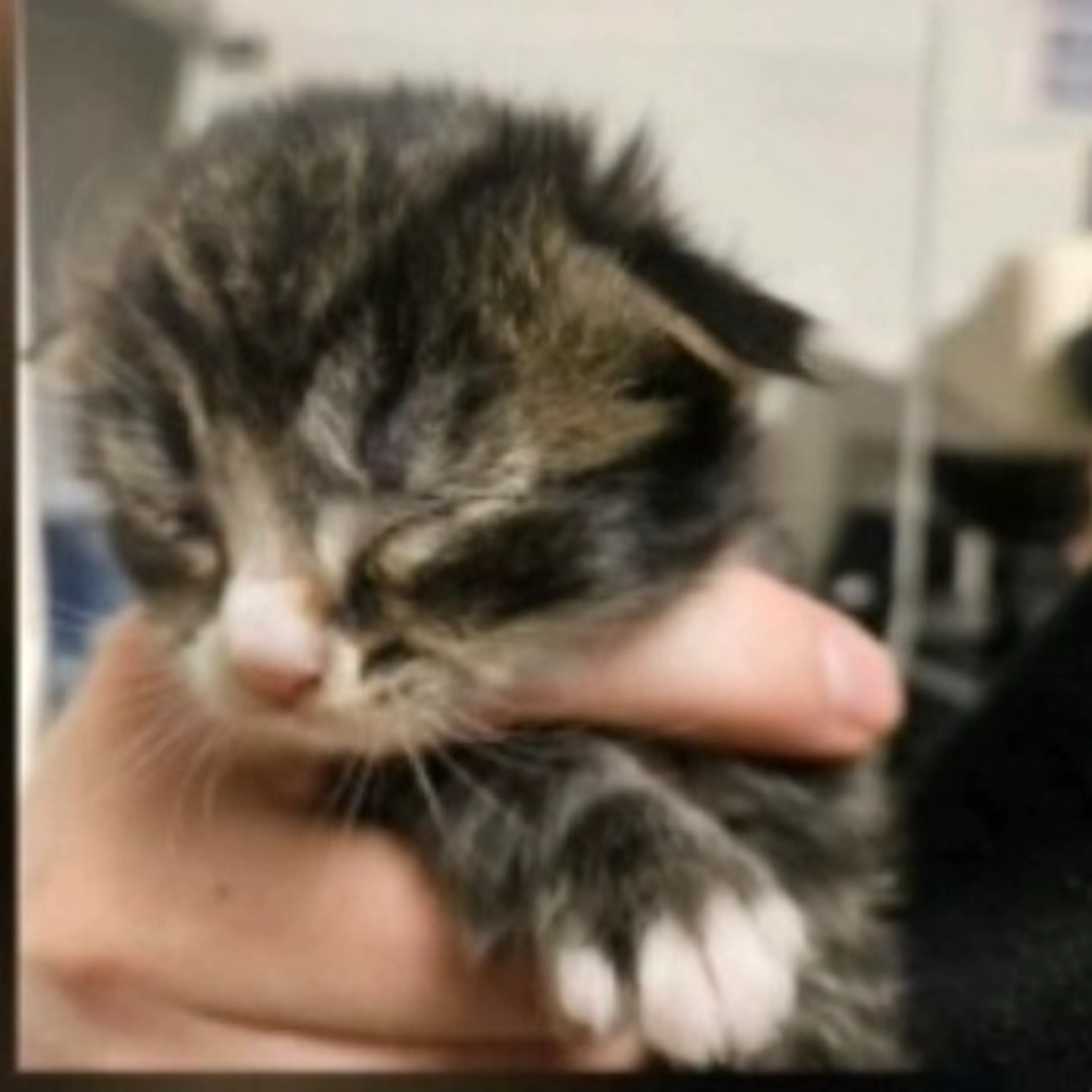 -1