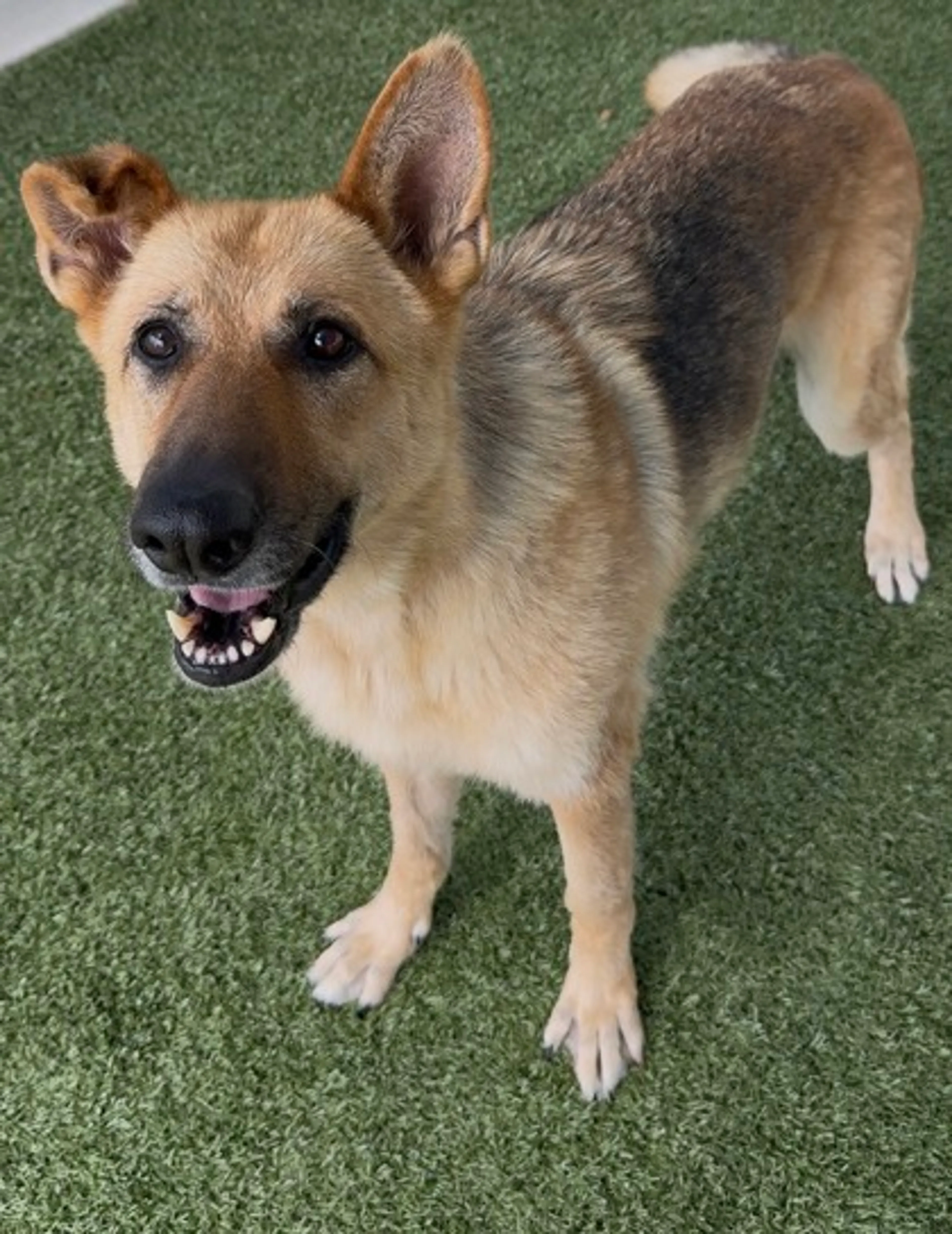 -2