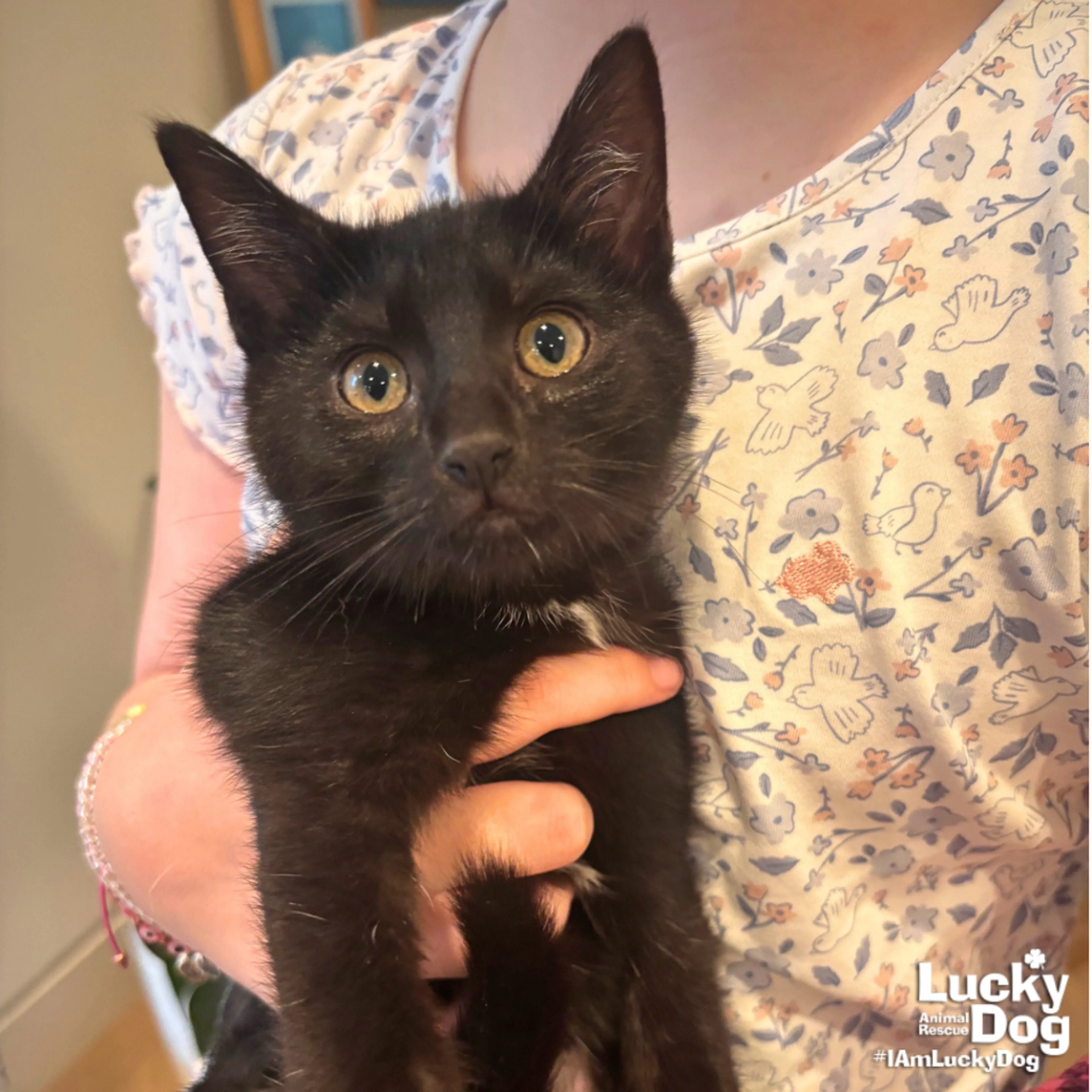 -1