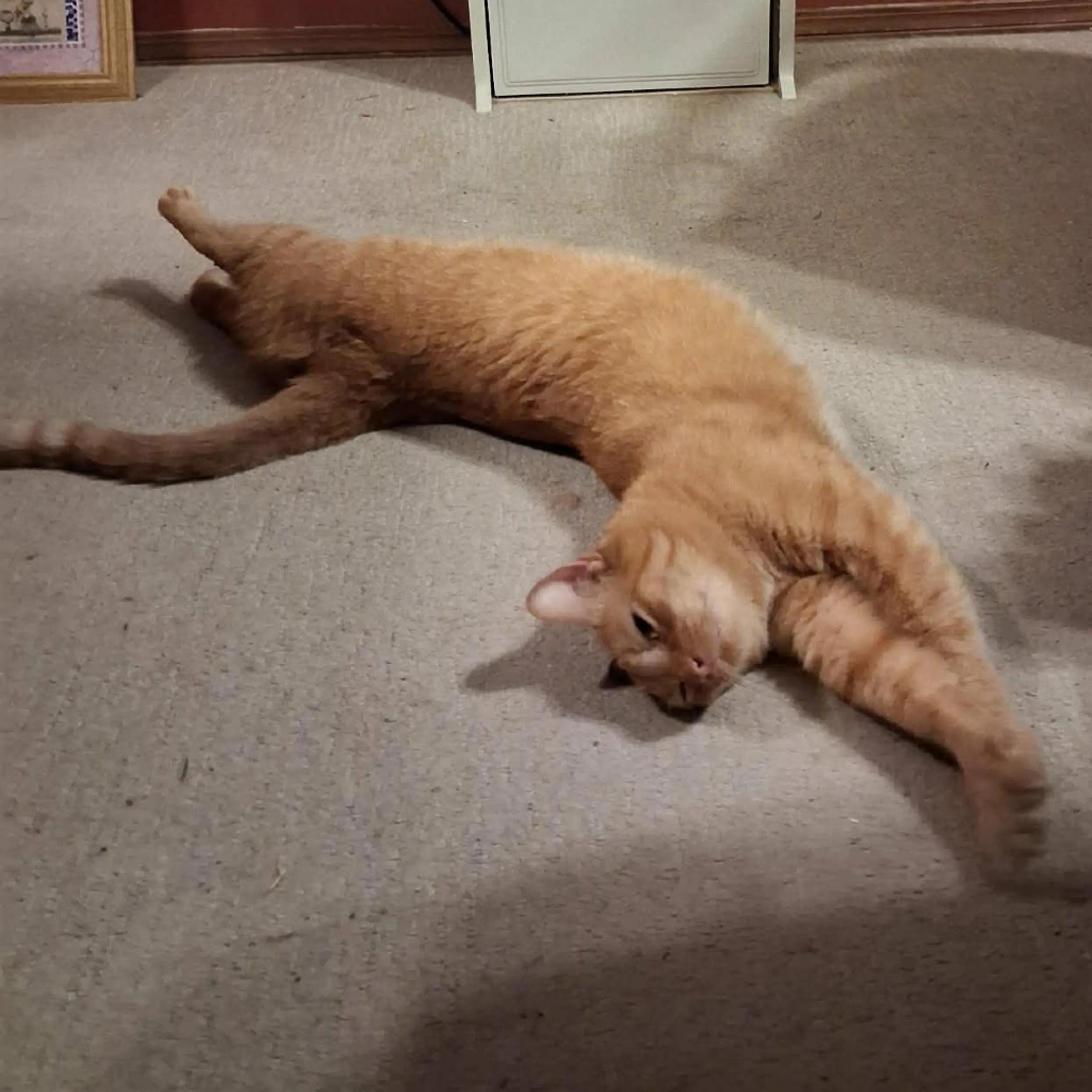 -4
