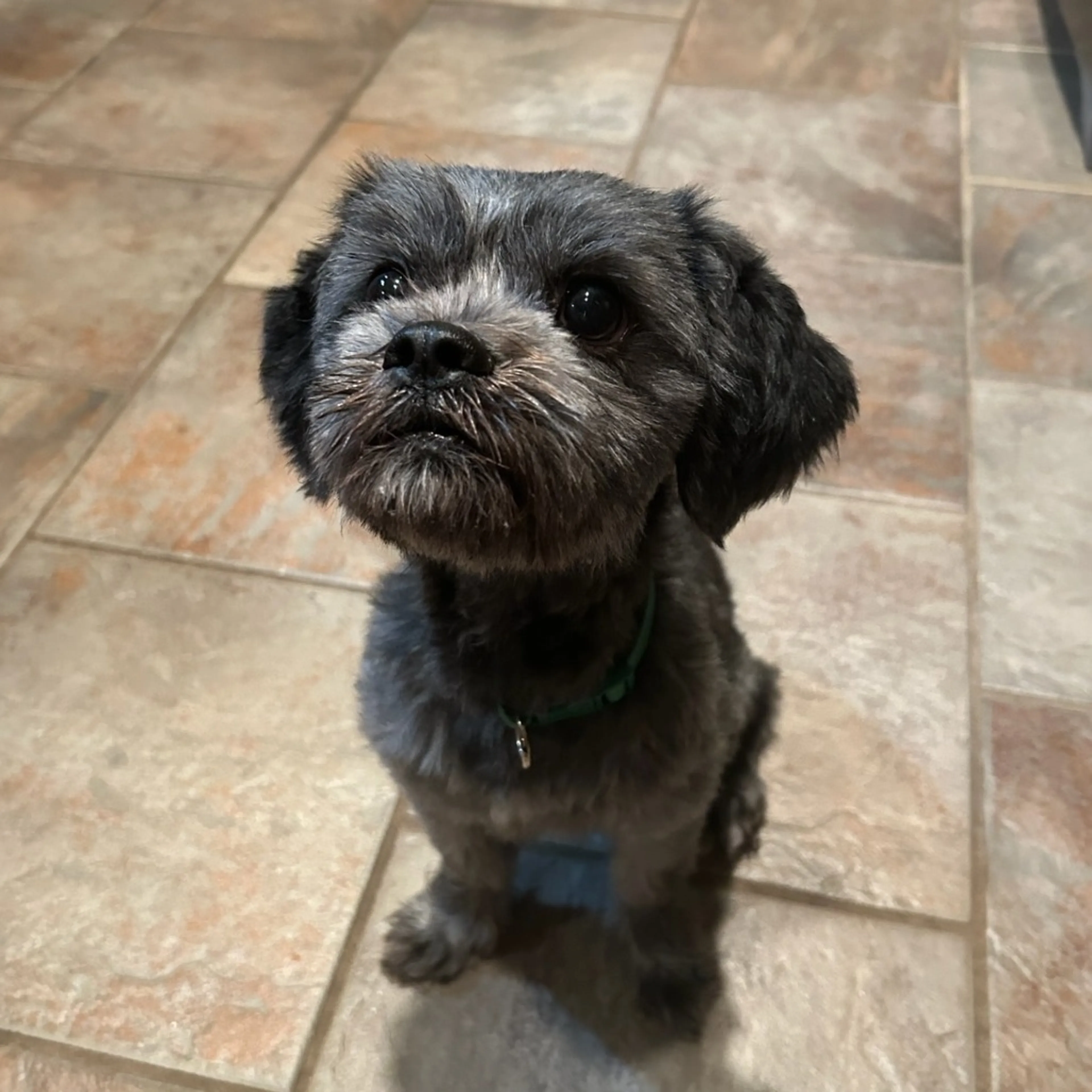 -2