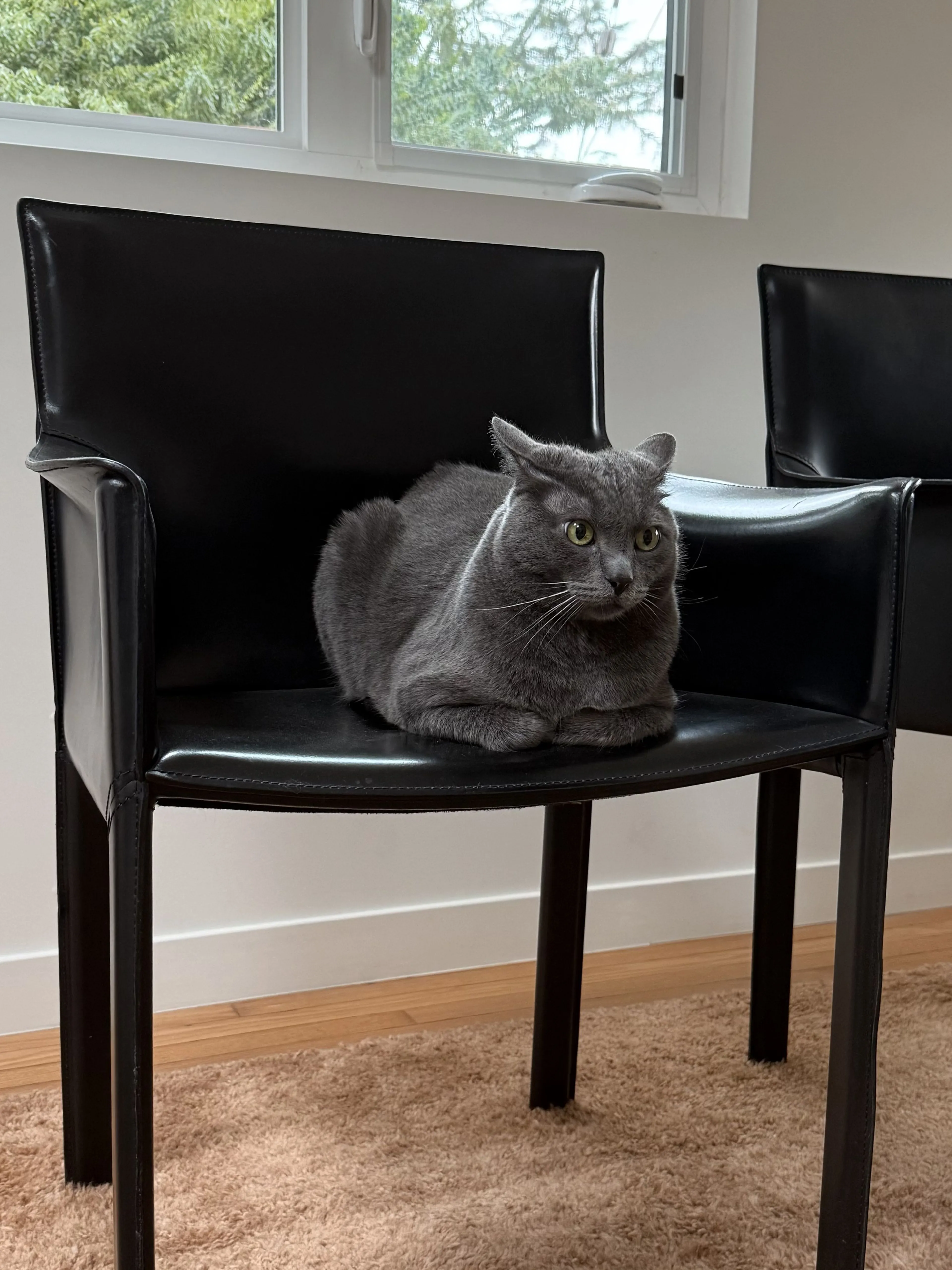 -1