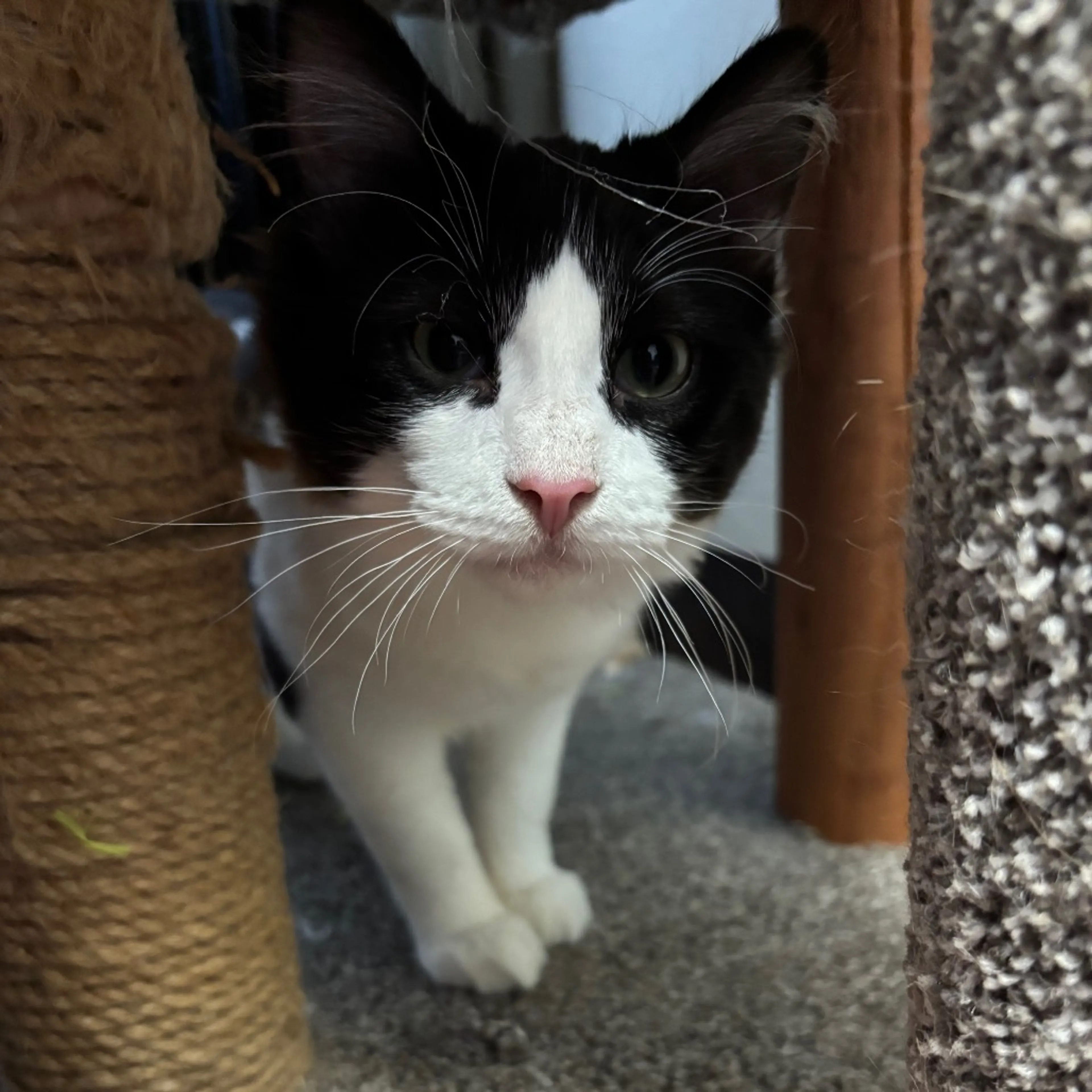 -0
