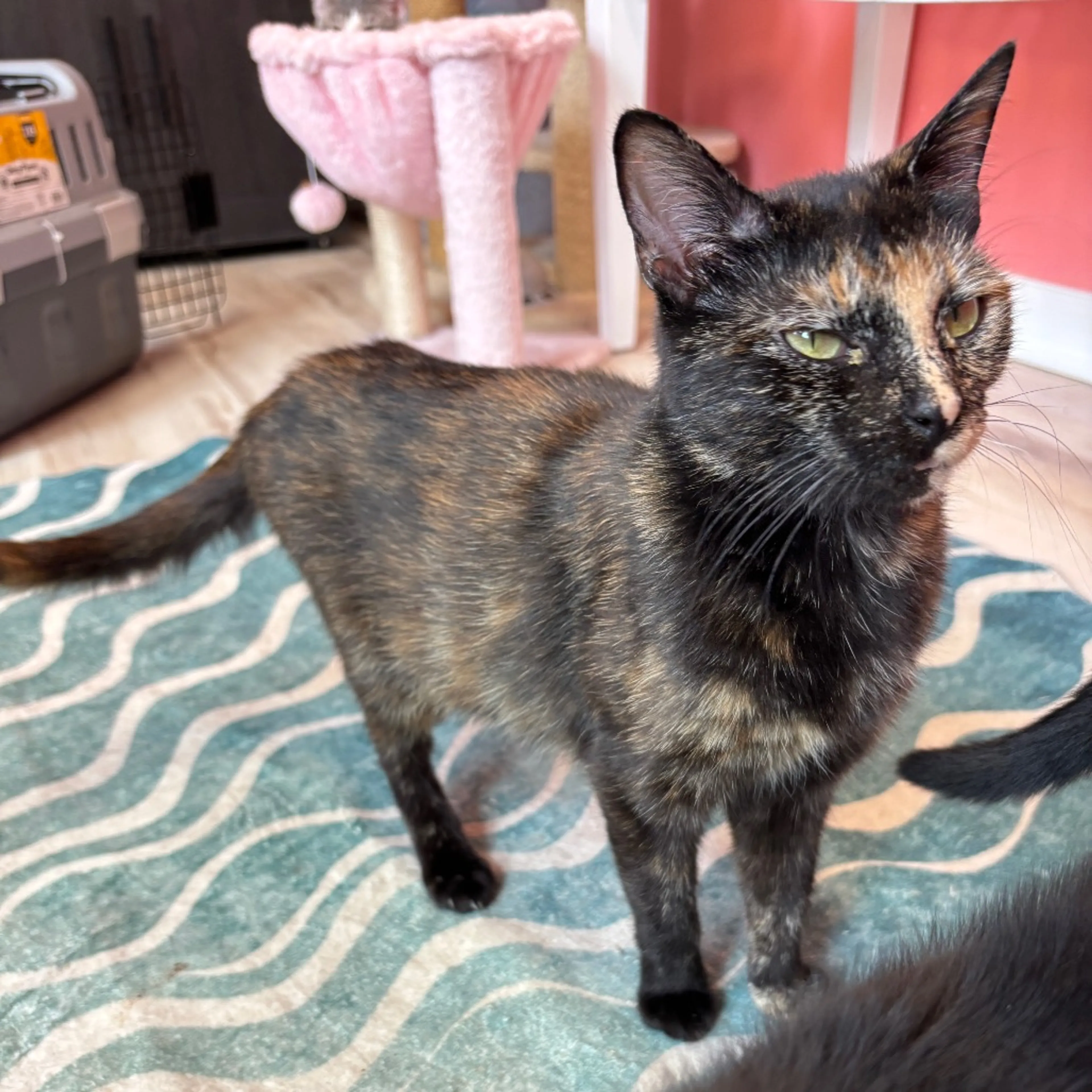 -0