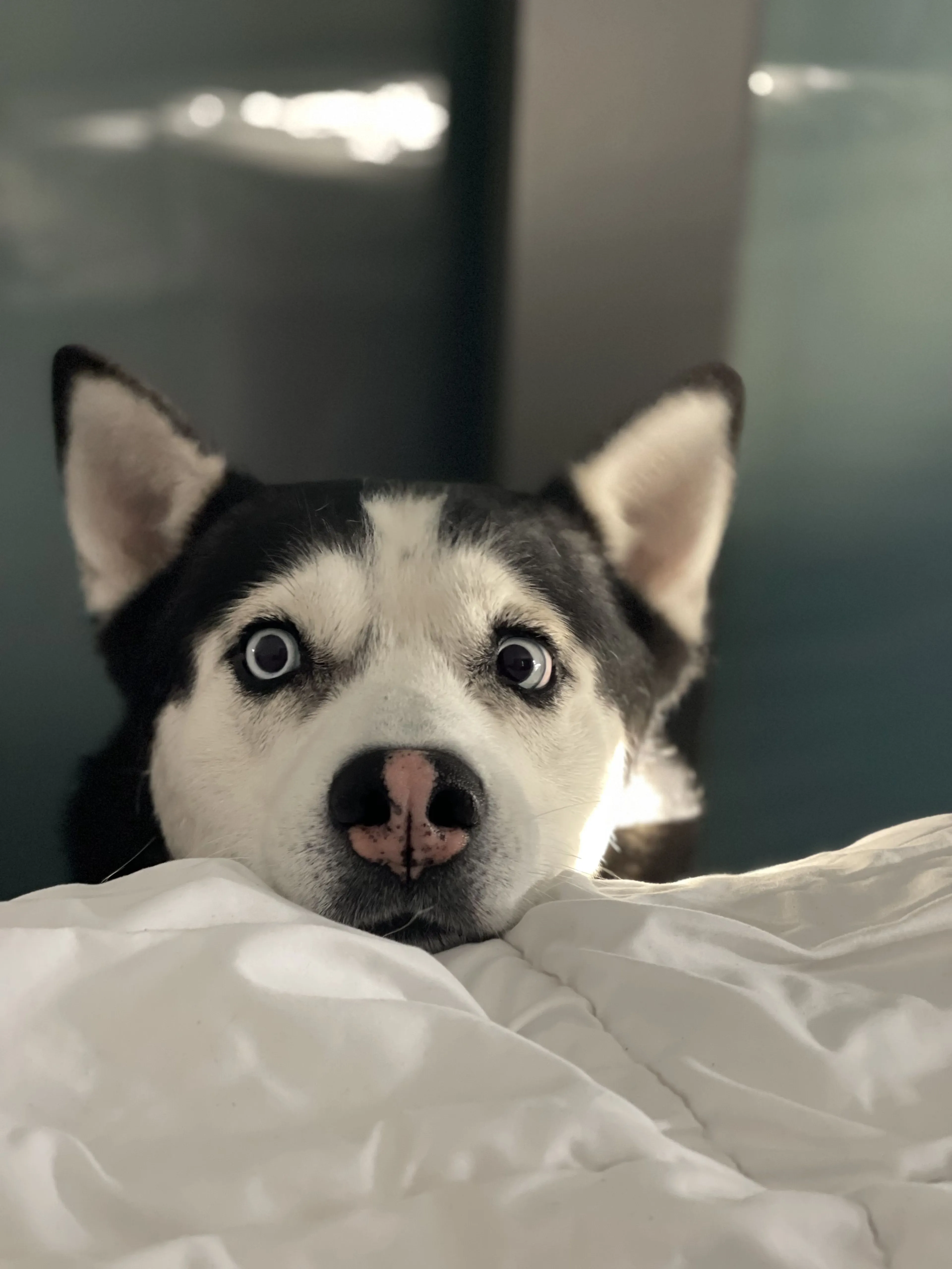 -4