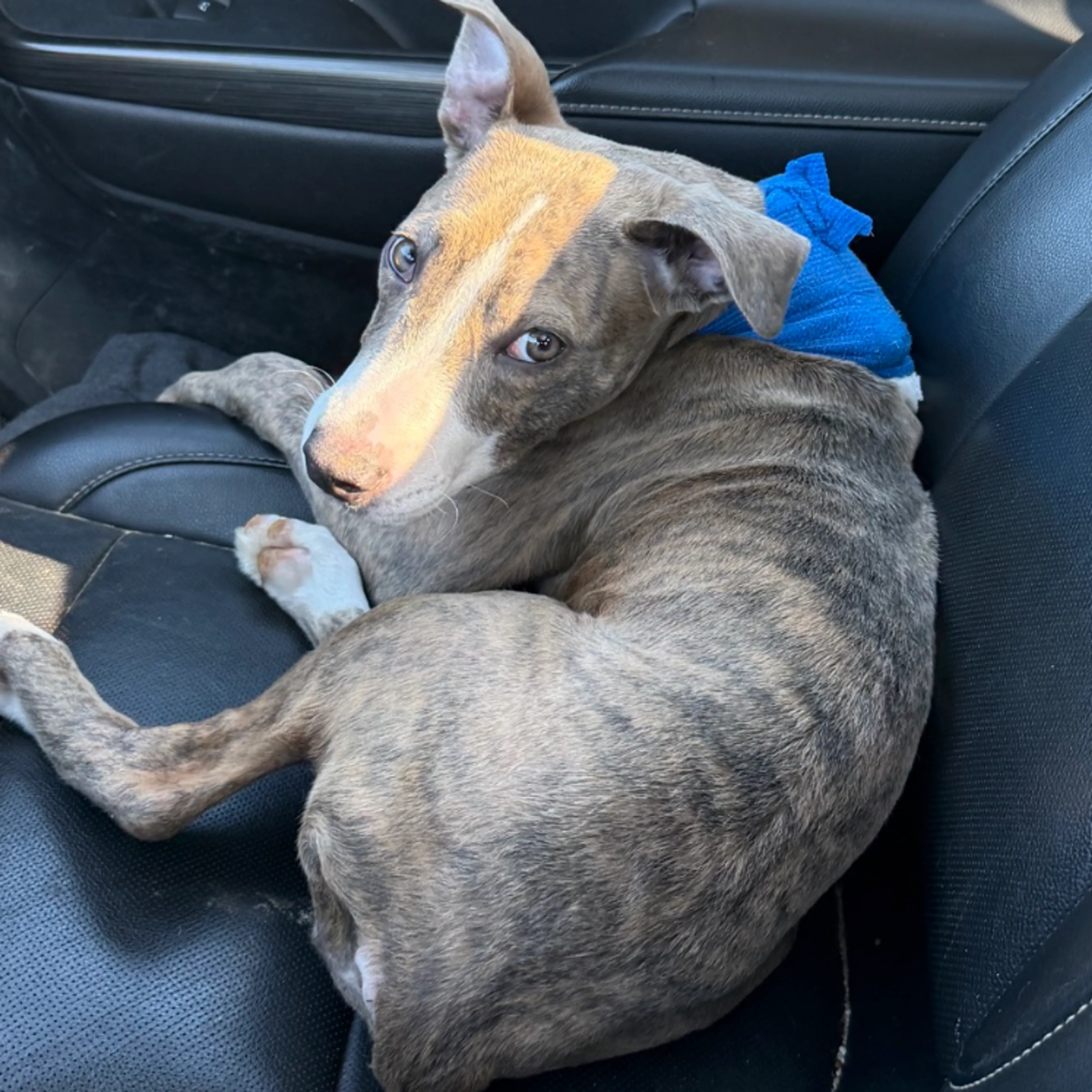 -3