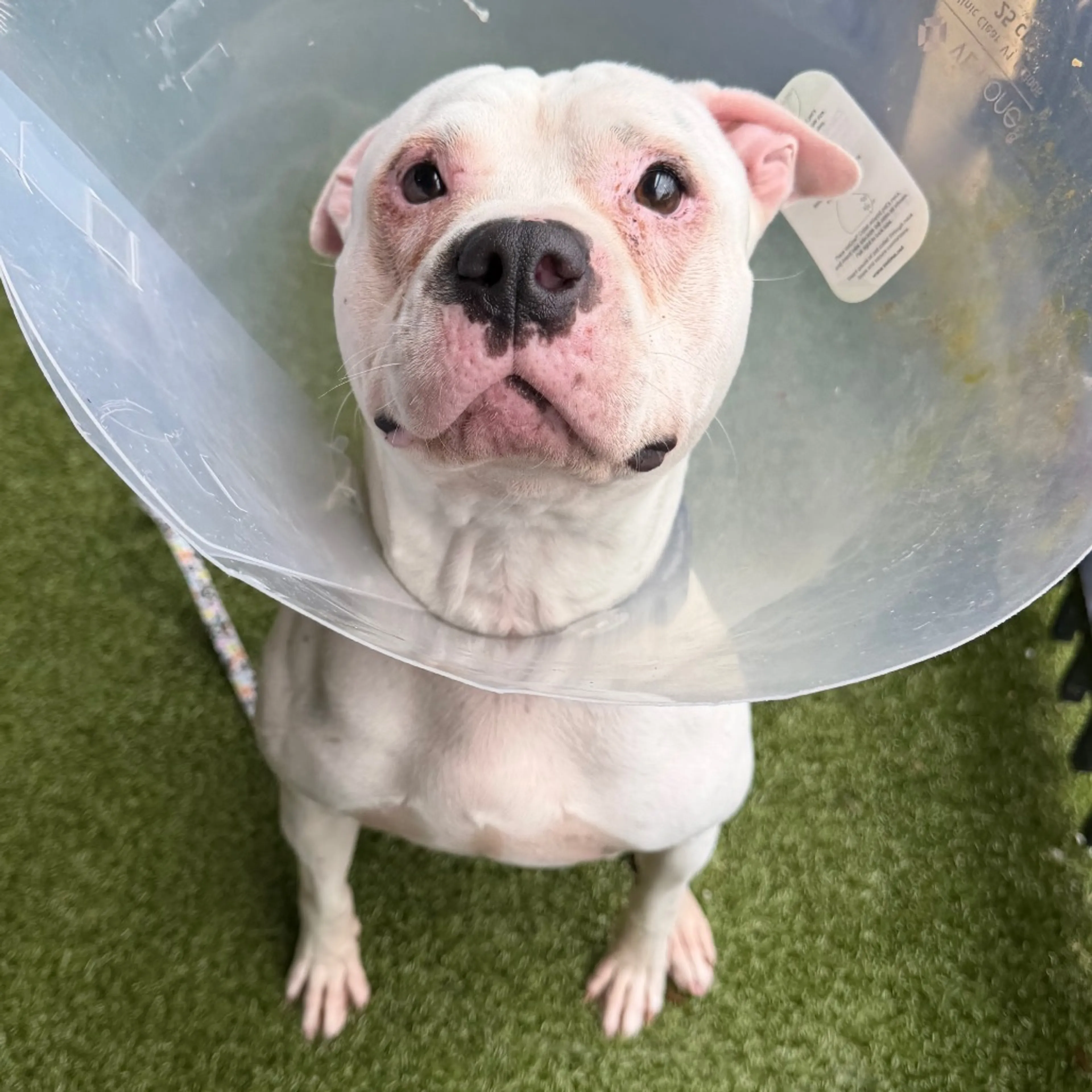 -0