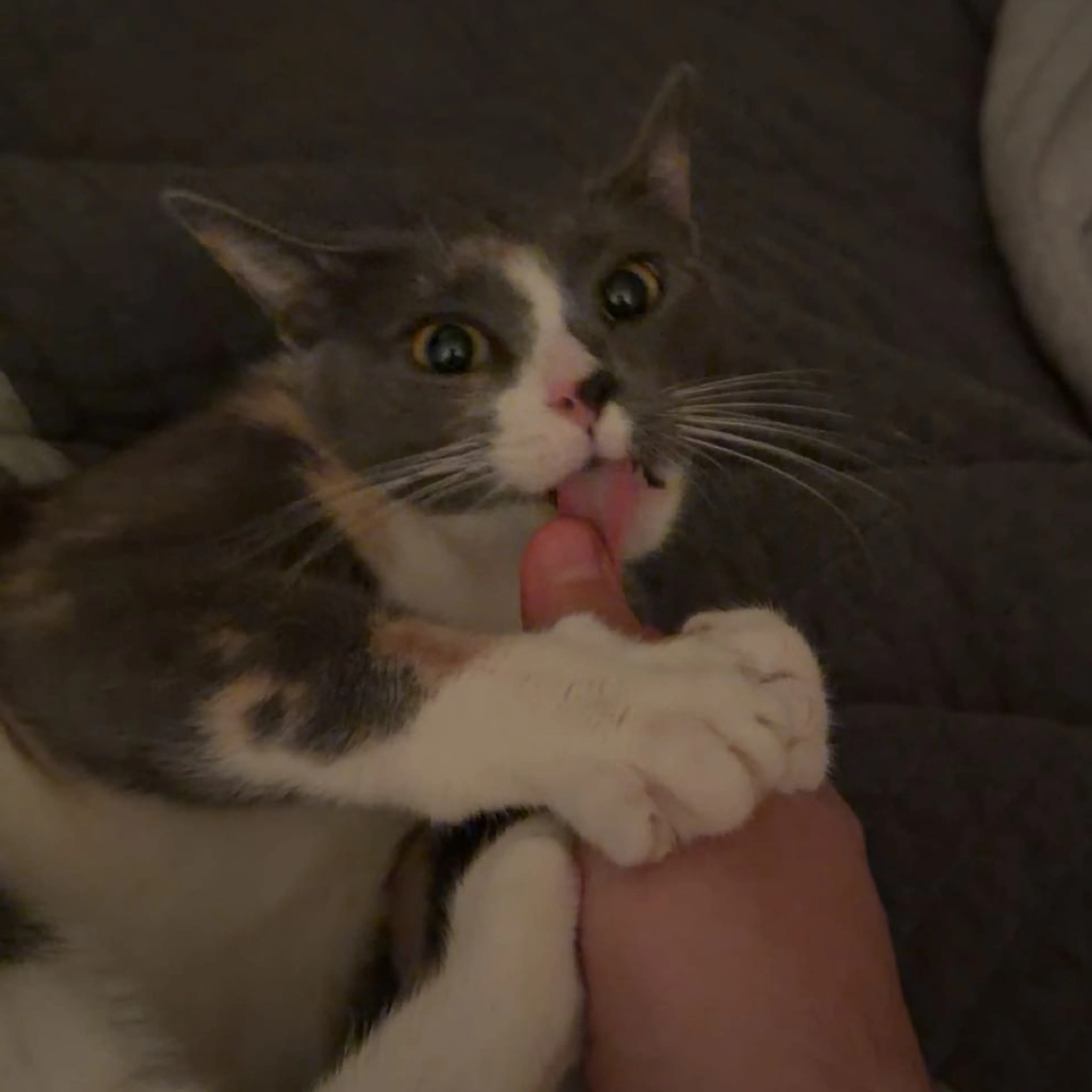-2