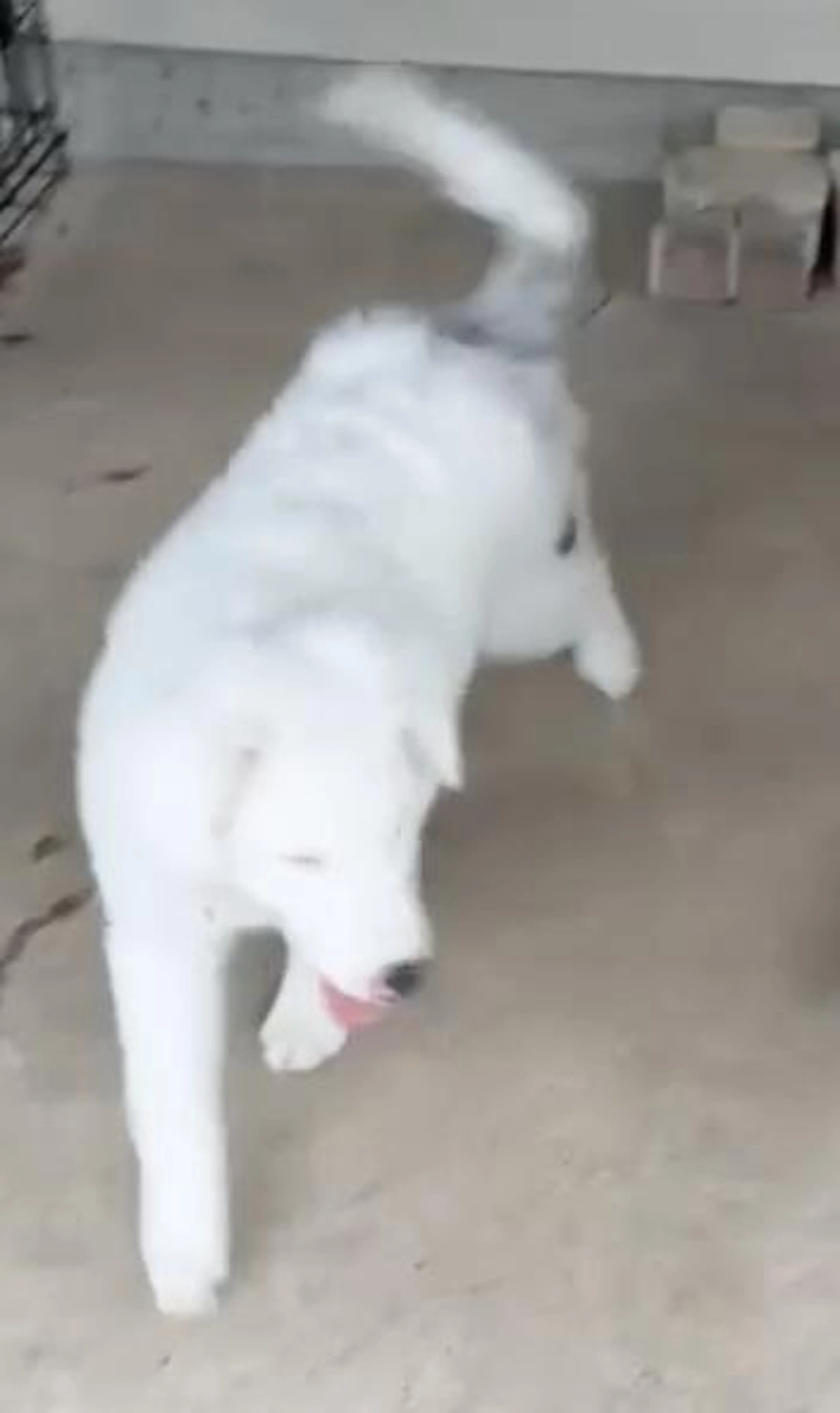 -3