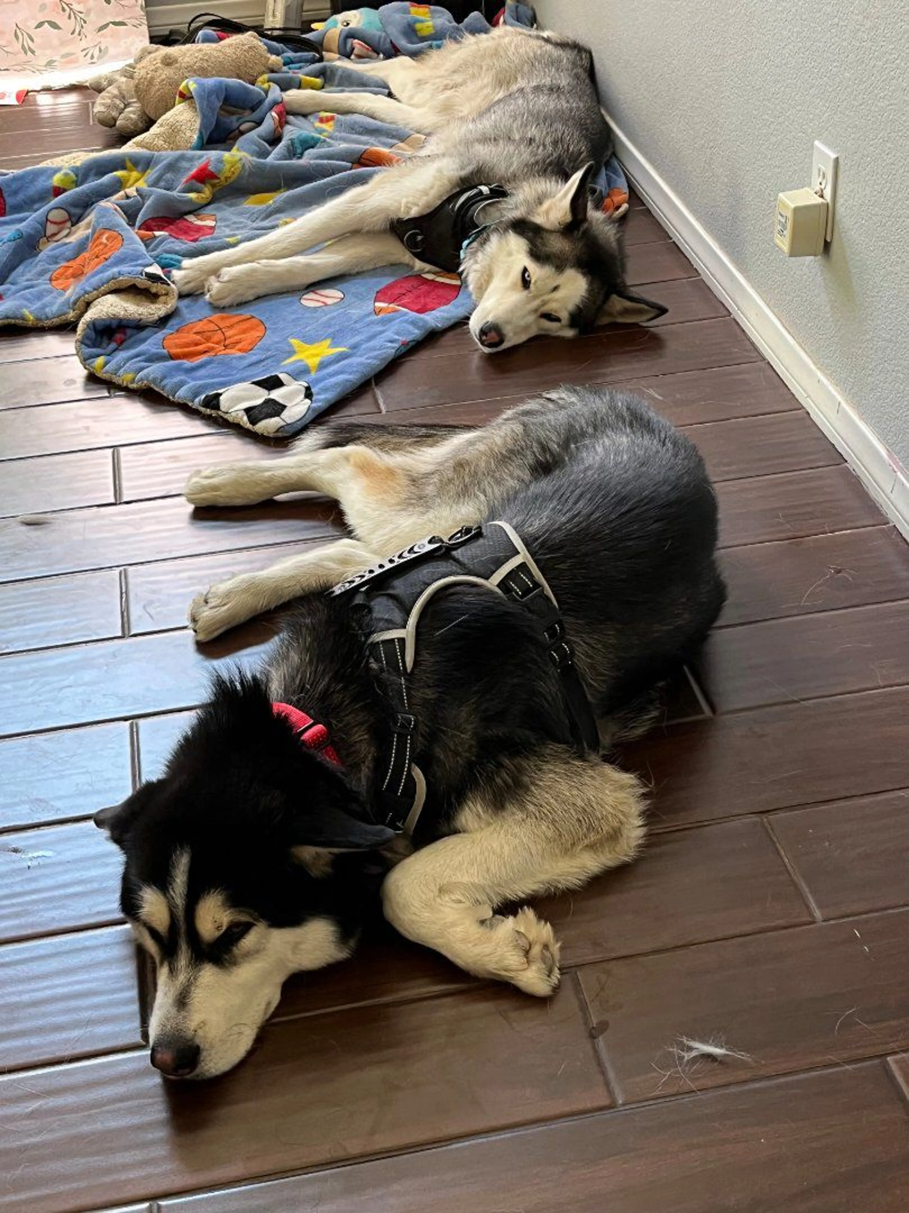 -2