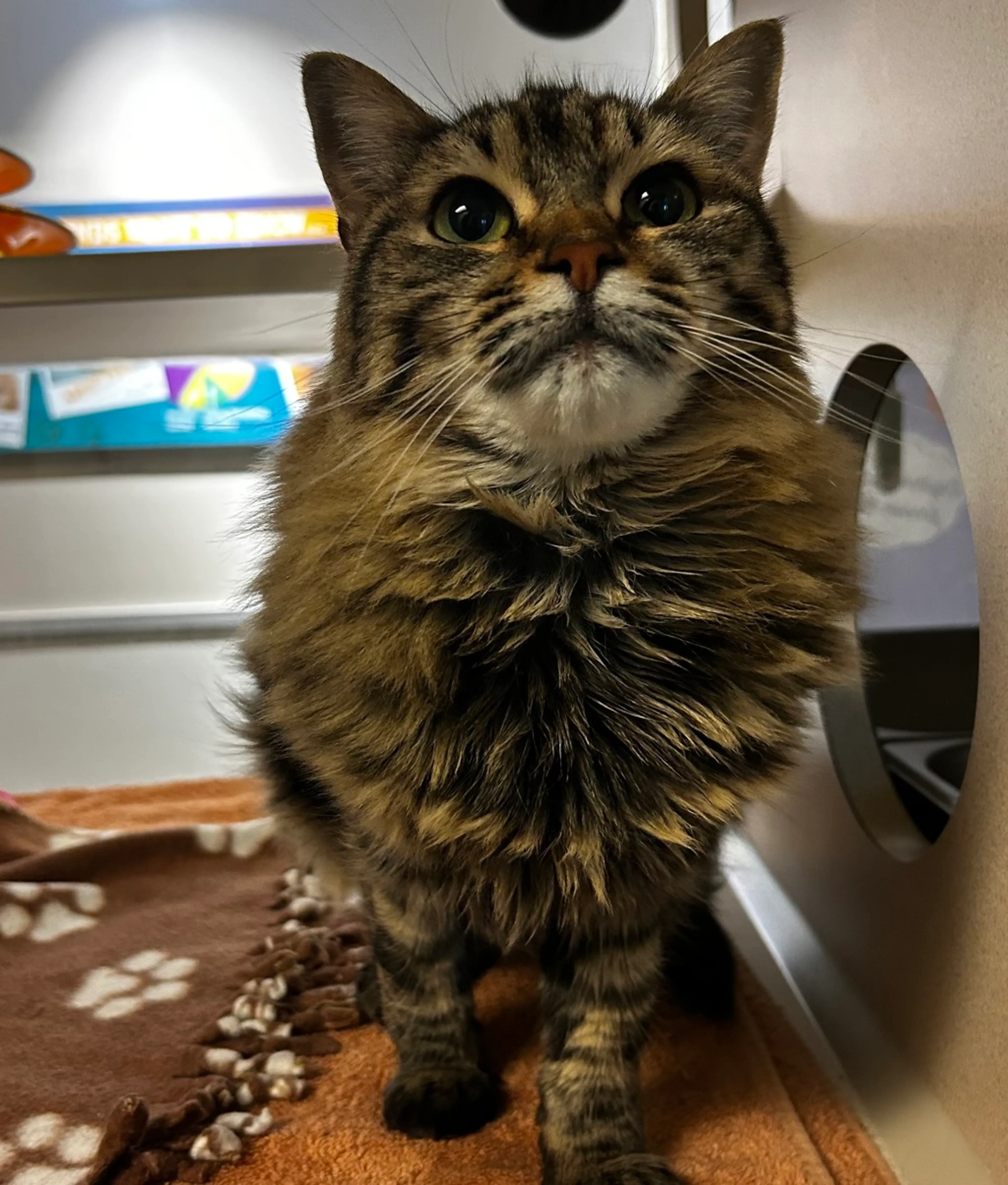 -0