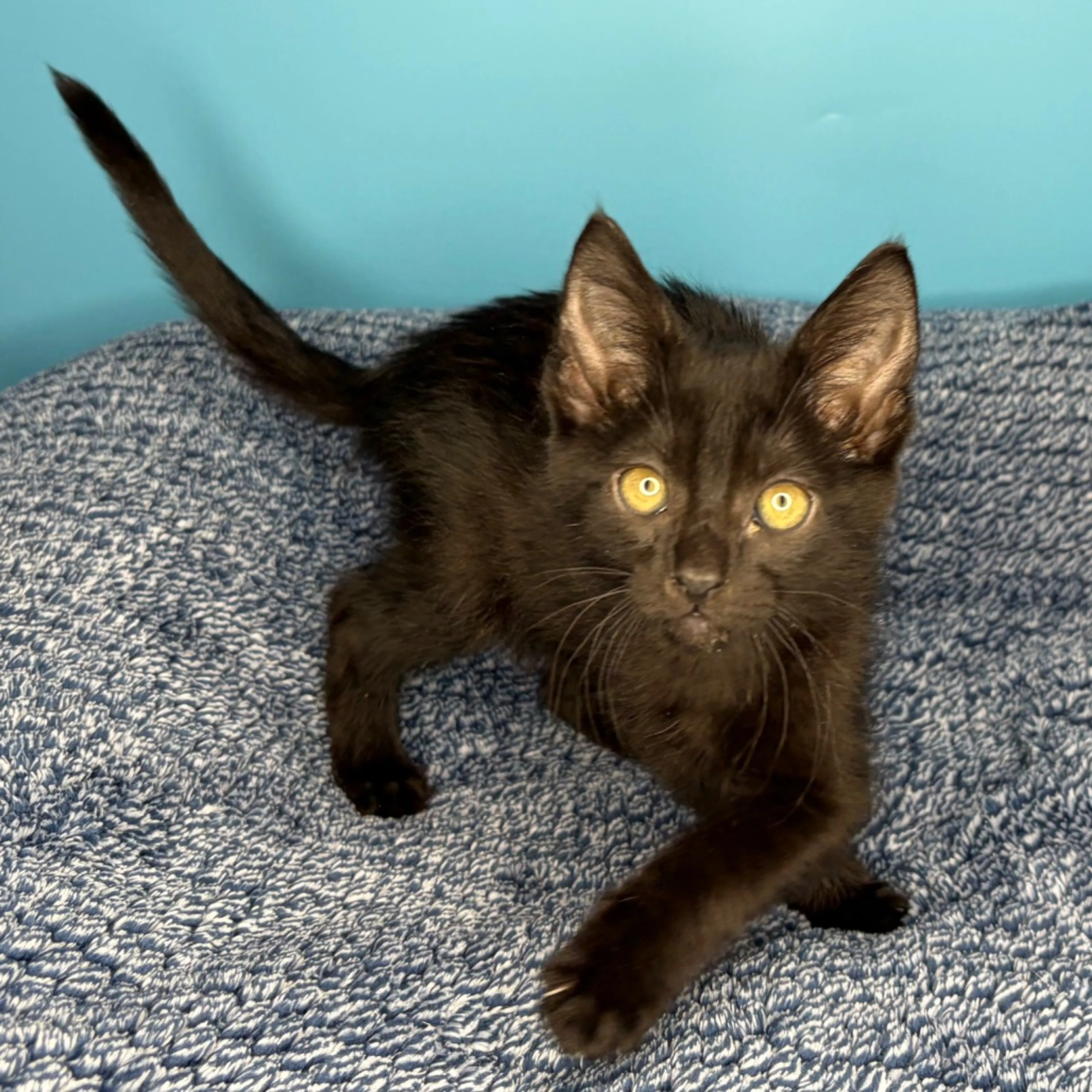 -10