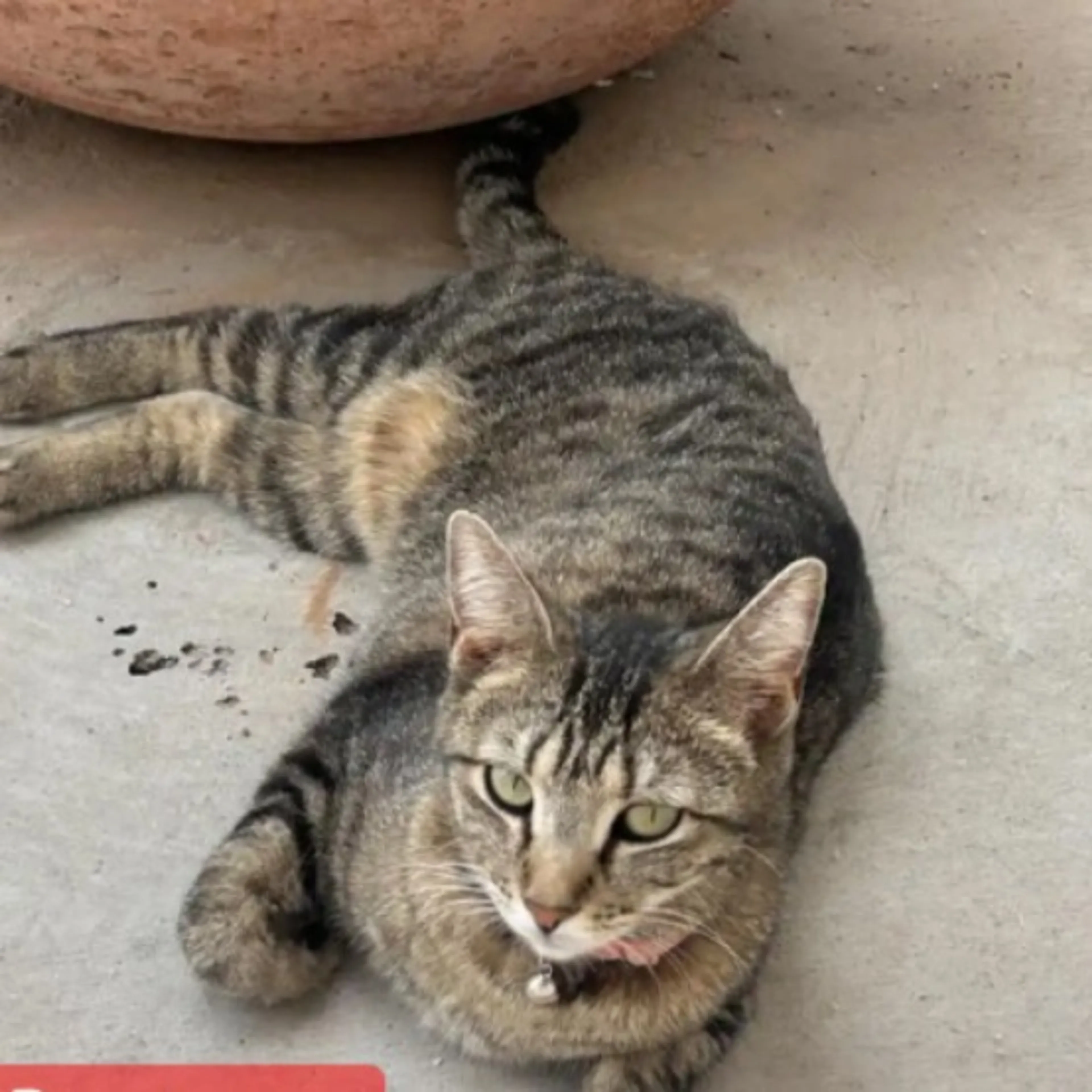 -0