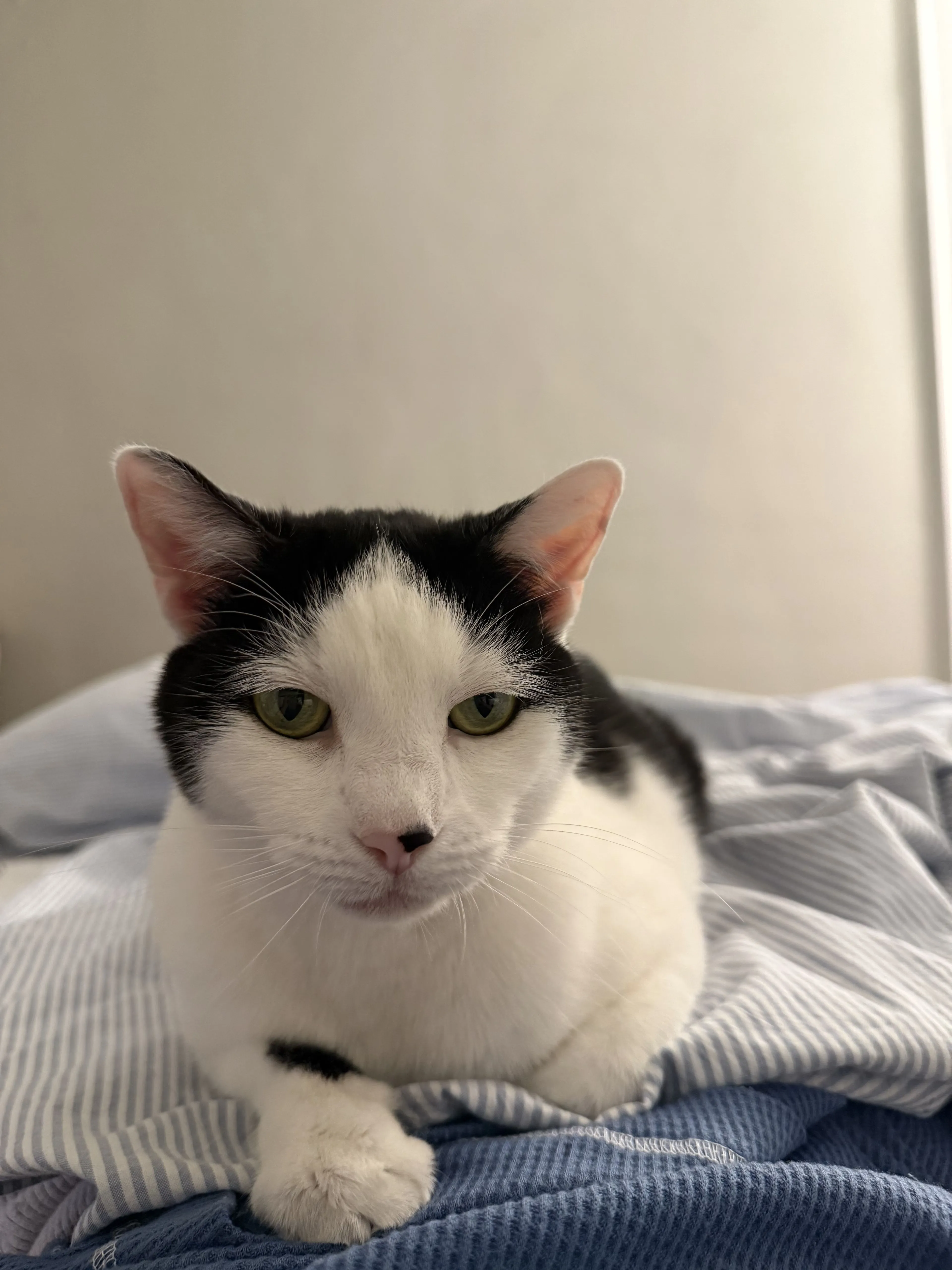 -0