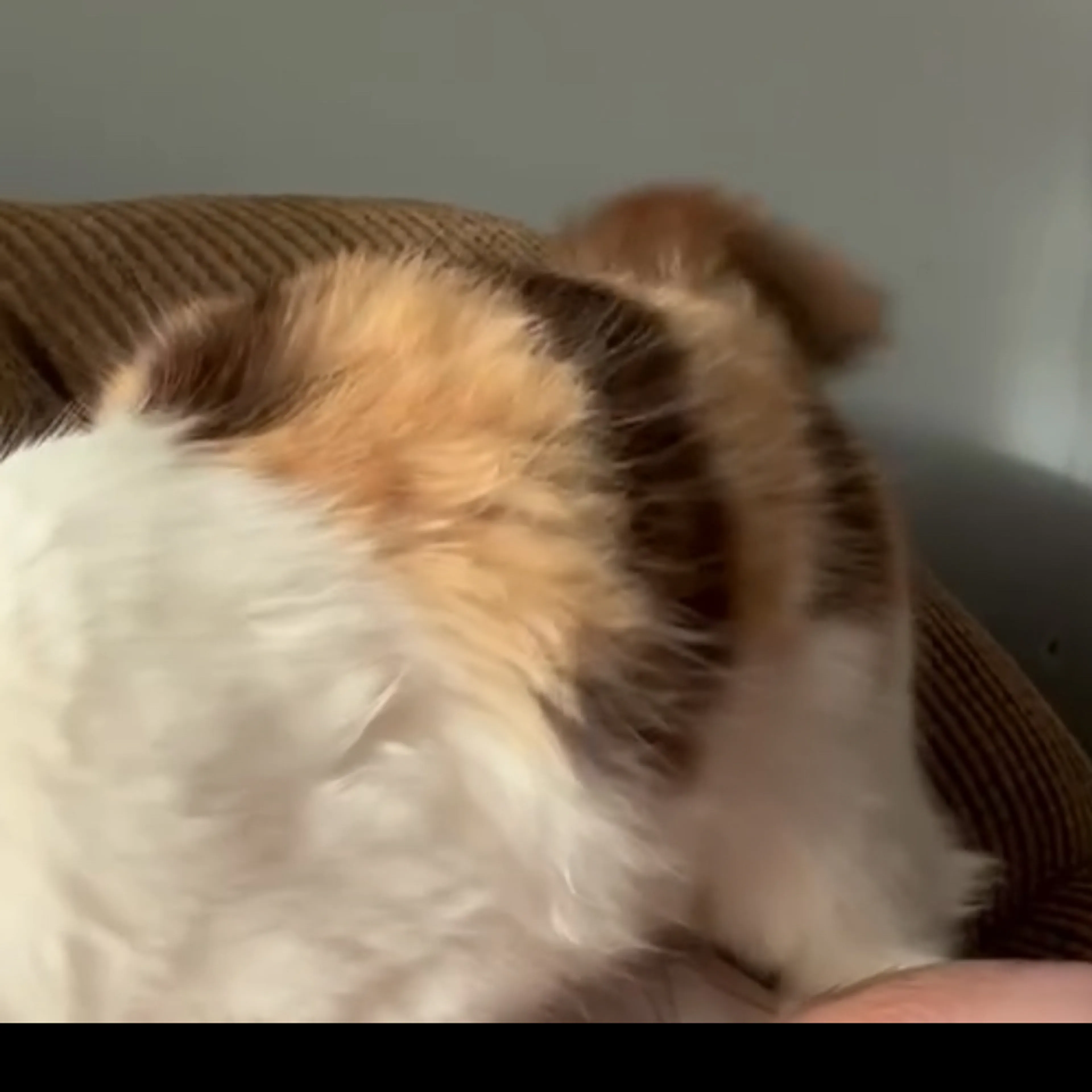-3