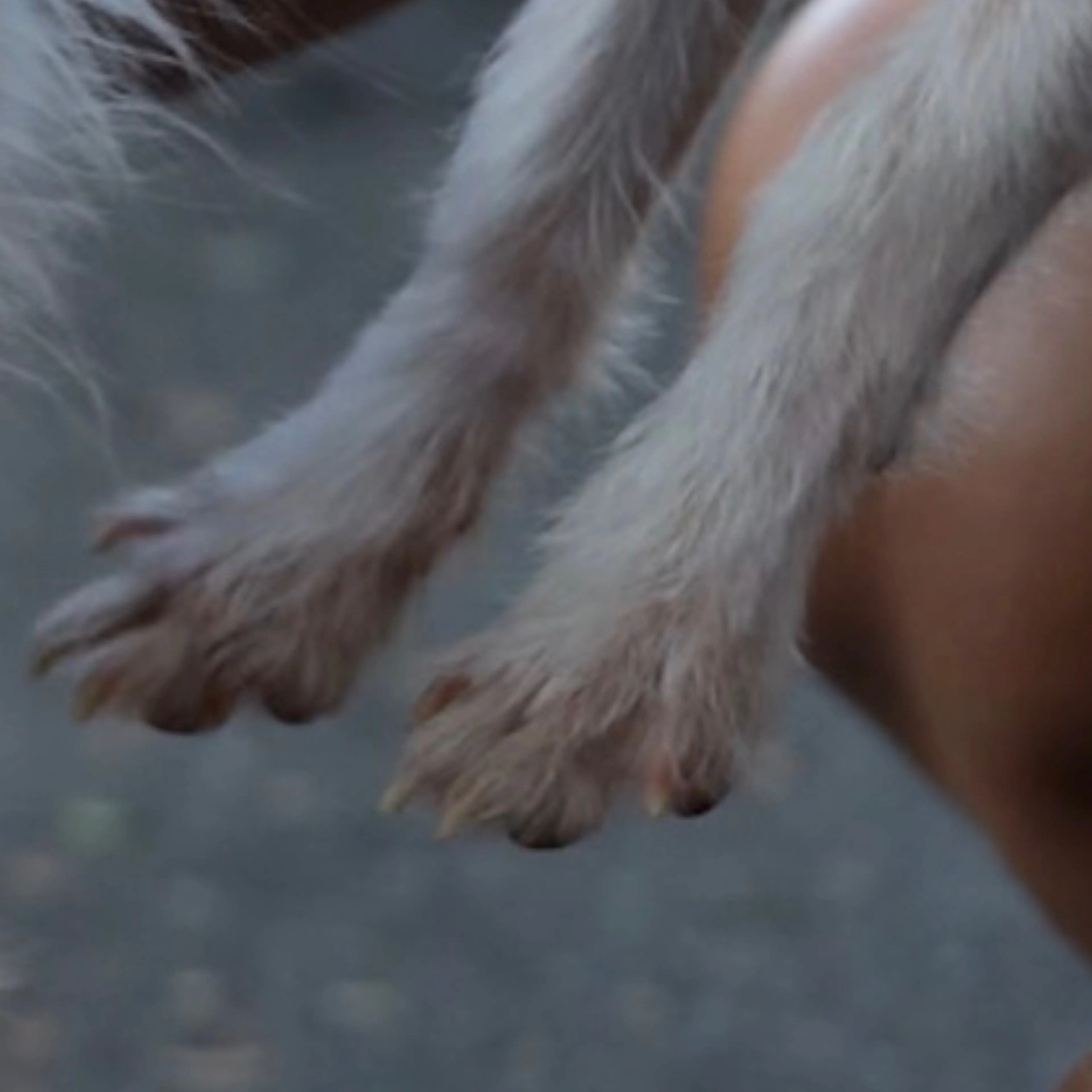-3