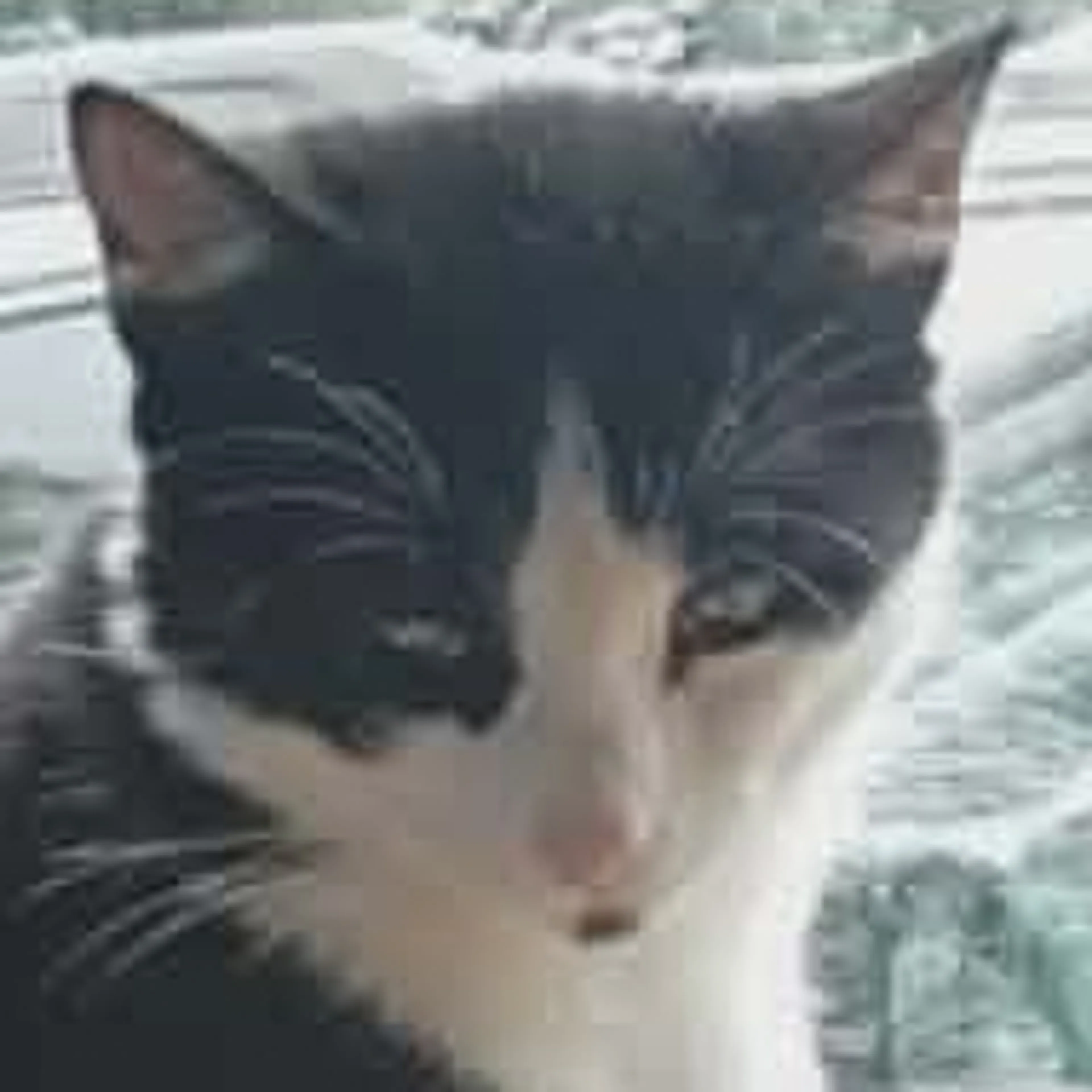 -1
