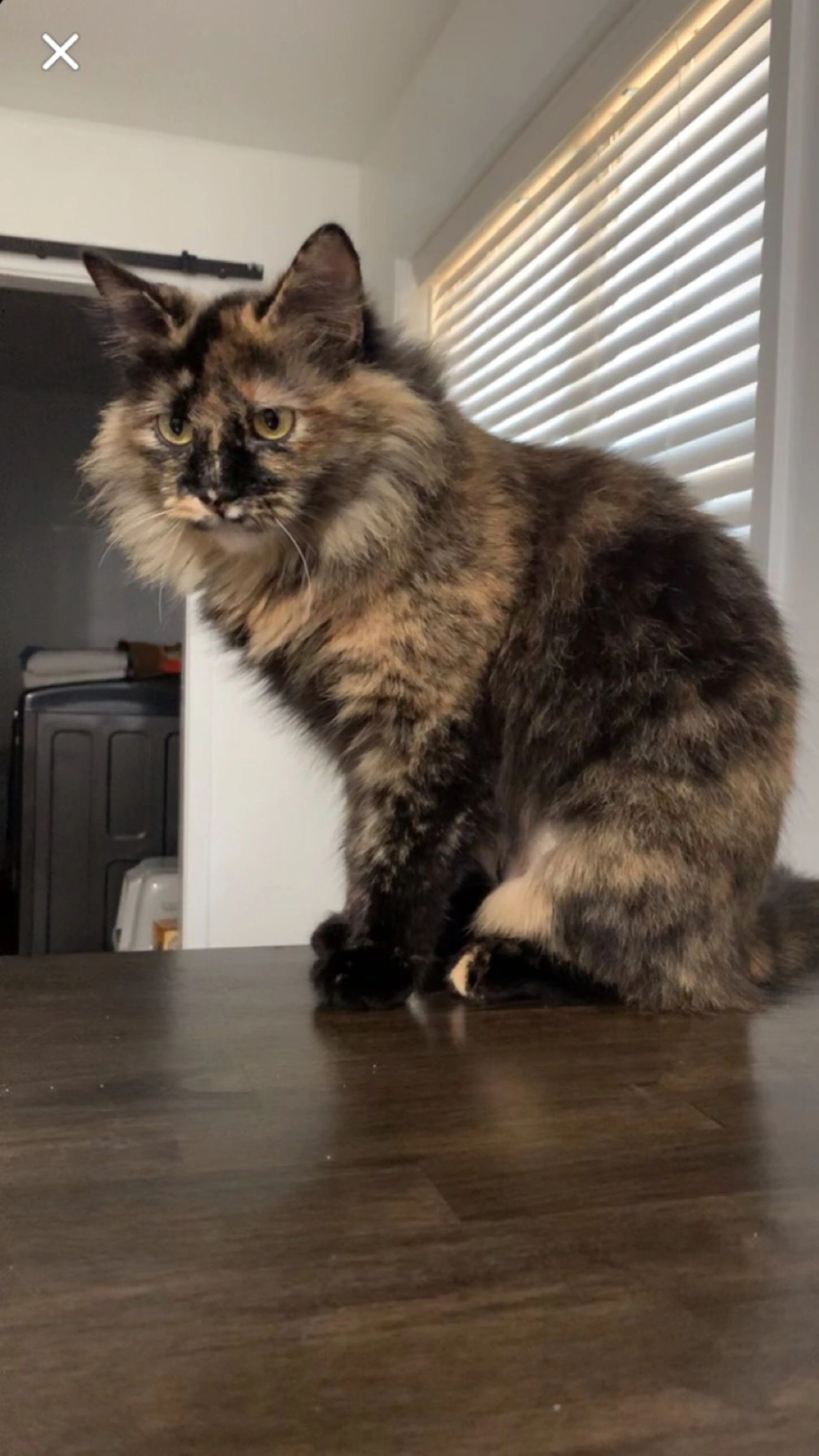 cdn image